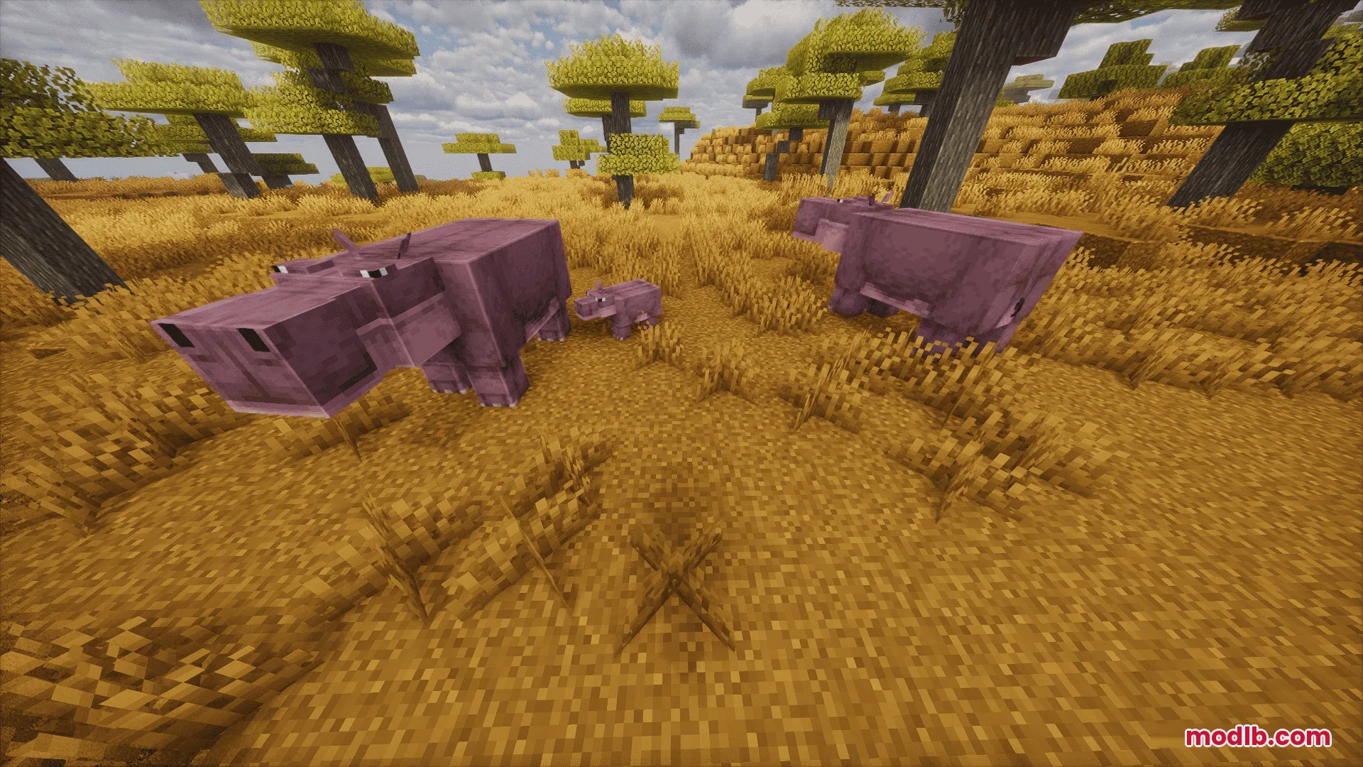 Animalia Exotica Mod Screenshot 6 A family of hippos including a baby wandering through the savanna biome