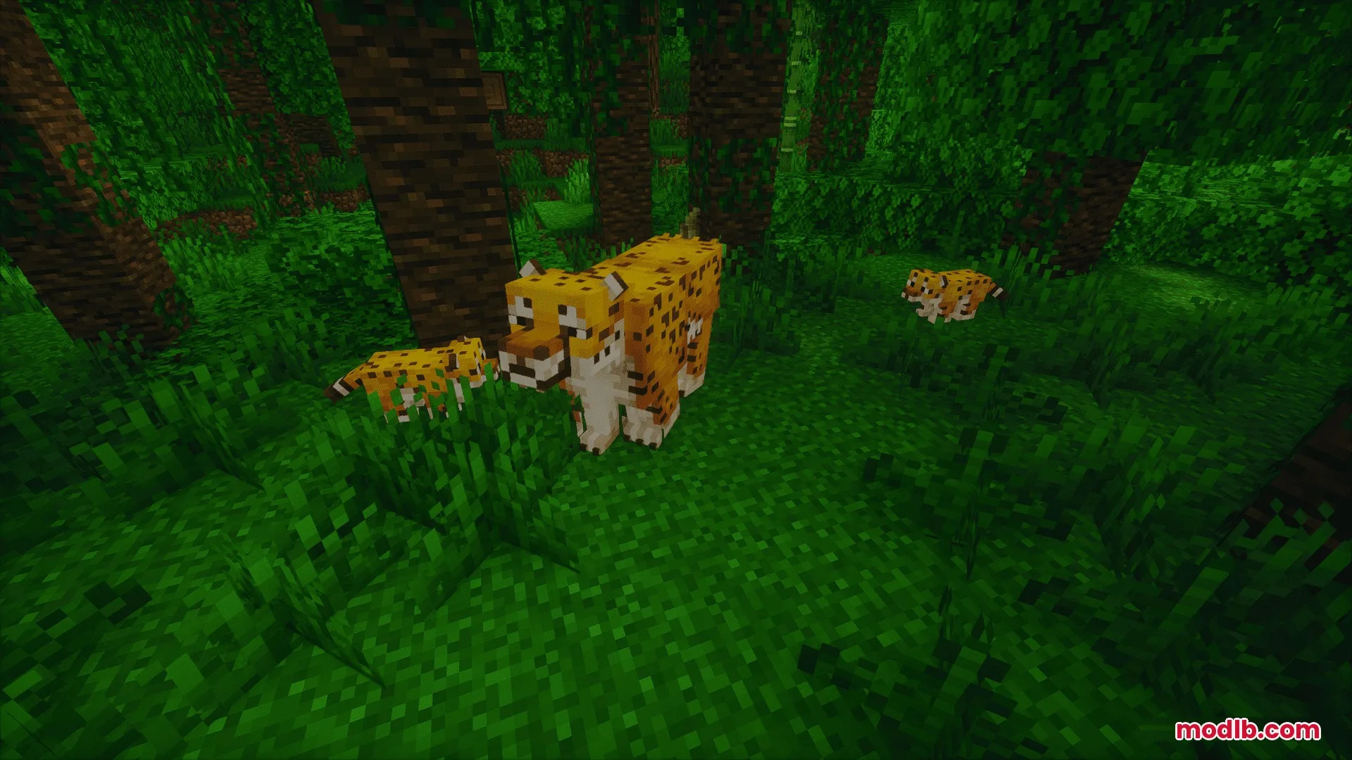 Animalia Exotica Mod Screenshot 2 An adult jaguar exploring the jungle with two of its small cubs