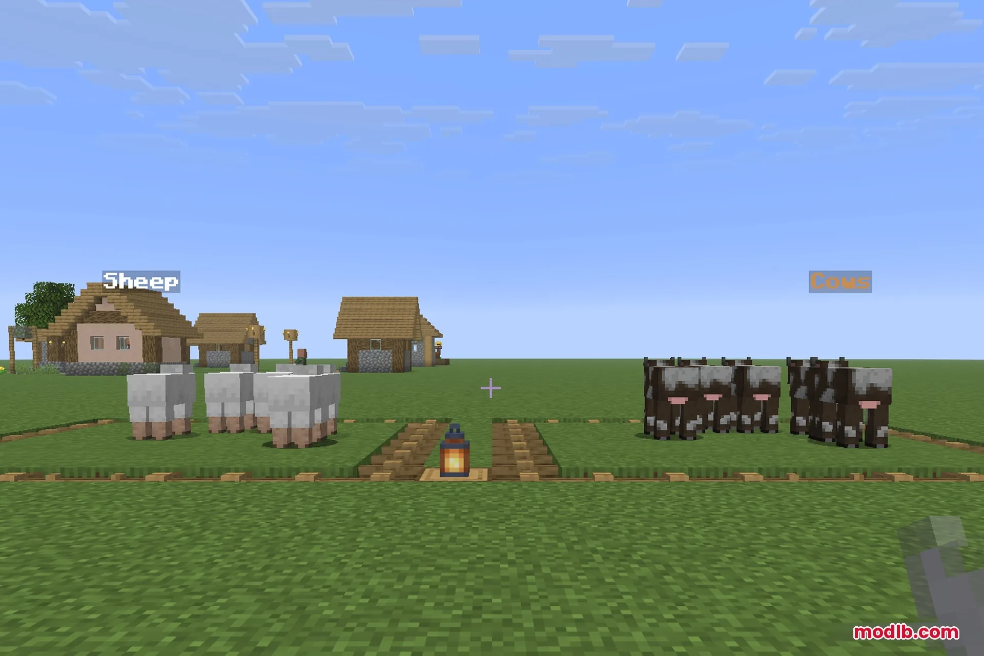 Two animal pens labelled Cows and Sheep