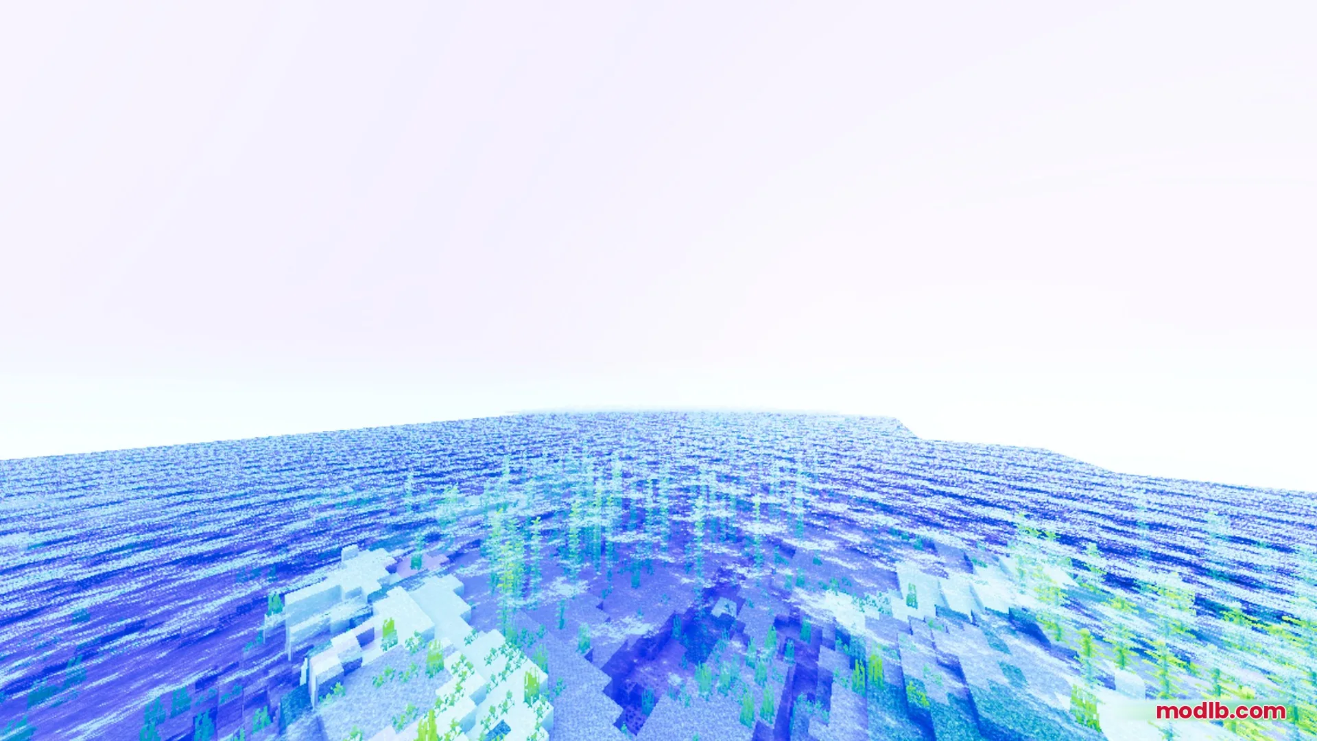 Clear blue ocean water showing underwater plants and kelp under a bright sky