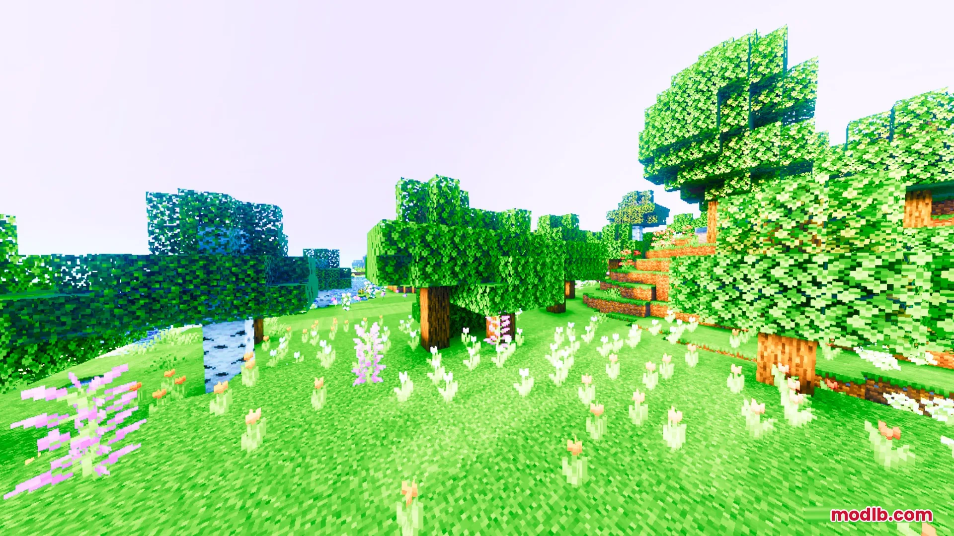 Lush green forest filled with colorful flowers under a warm saturated sky