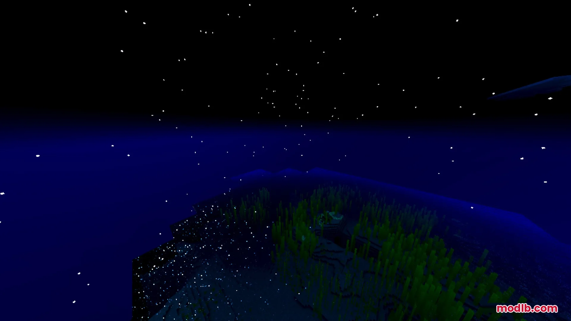 A starry night sky above dark blue water and glowing underwater vegetation