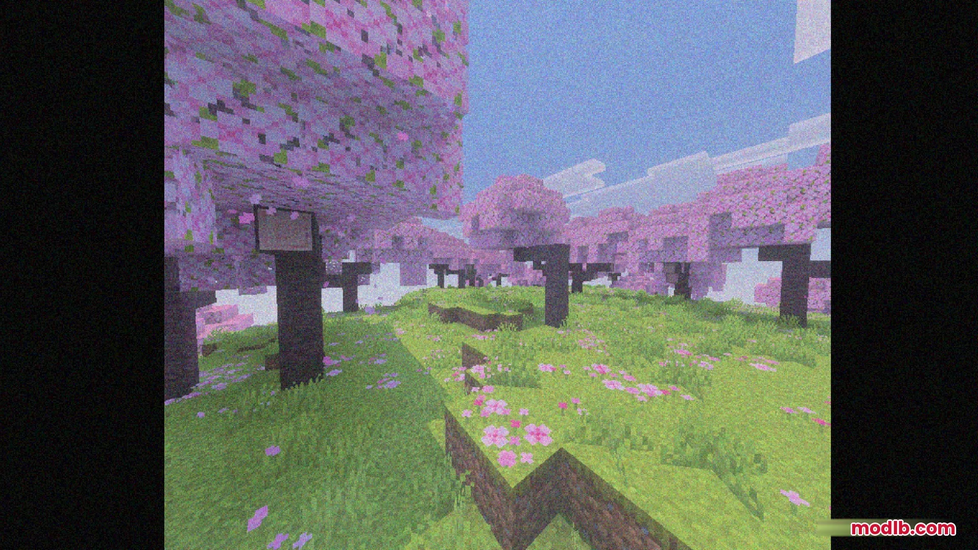 Bedrock VHS Shader Screenshot 7 Pink cherry blossom trees in Minecraft with a vintage VHS camera filter effect