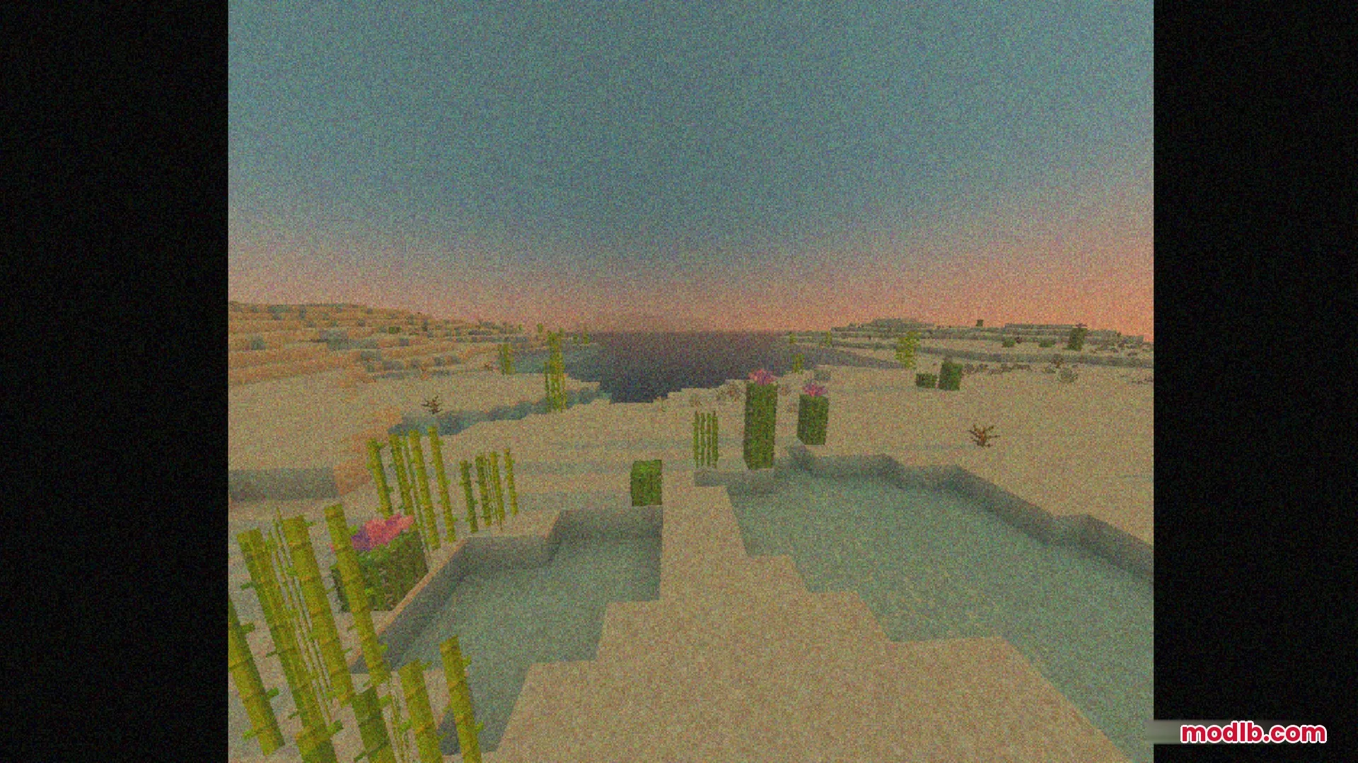 Bedrock VHS Shader Screenshot 8 A desert biome with sugarcane and cacti using a retro VHS filter