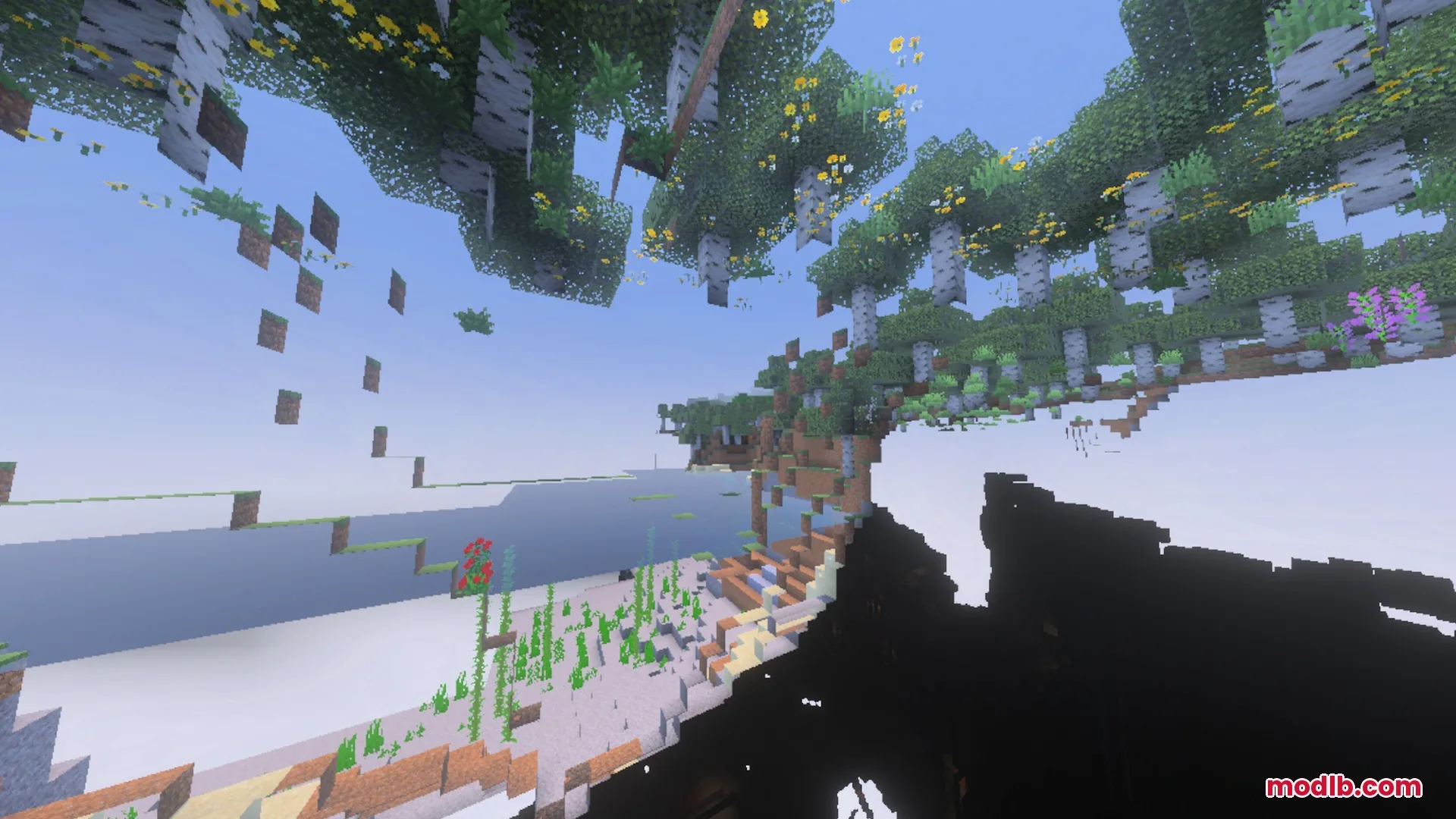 A transparent view of the world showing floating birch trees and kelp