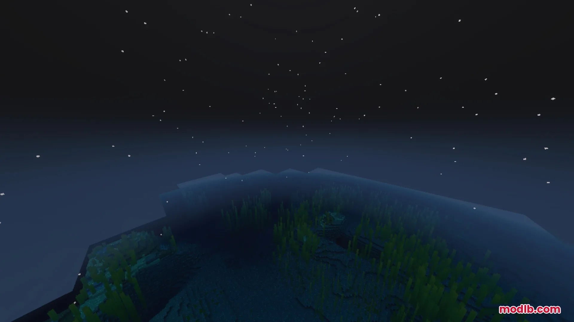 A peaceful underwater view of kelp plants under a starry night sky