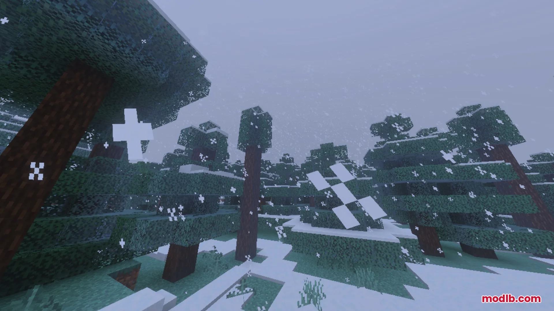 Snow falling over a cold spruce forest with thick white ground cover