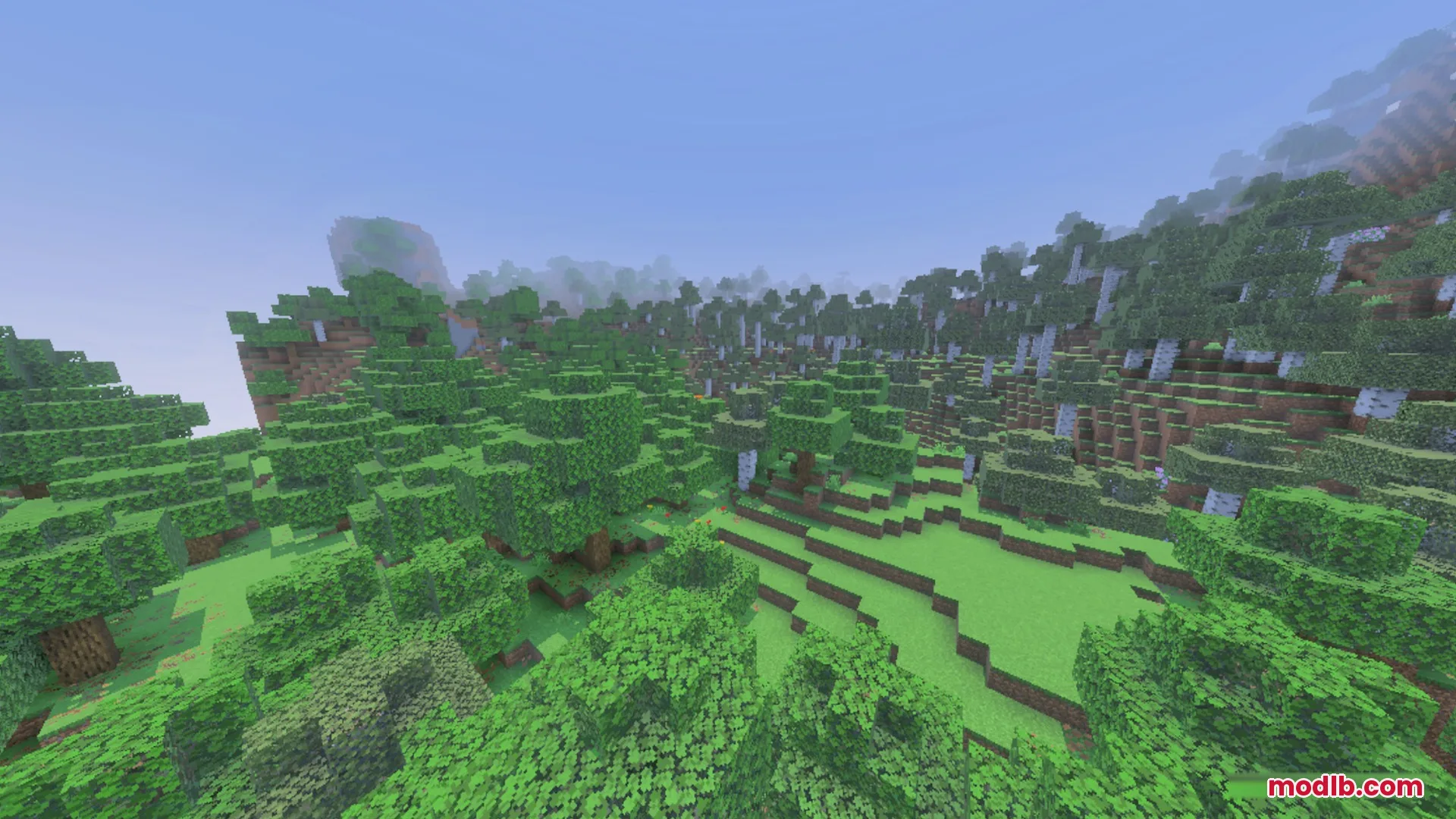 Dense forest biome with green oak and birch trees on rolling hills