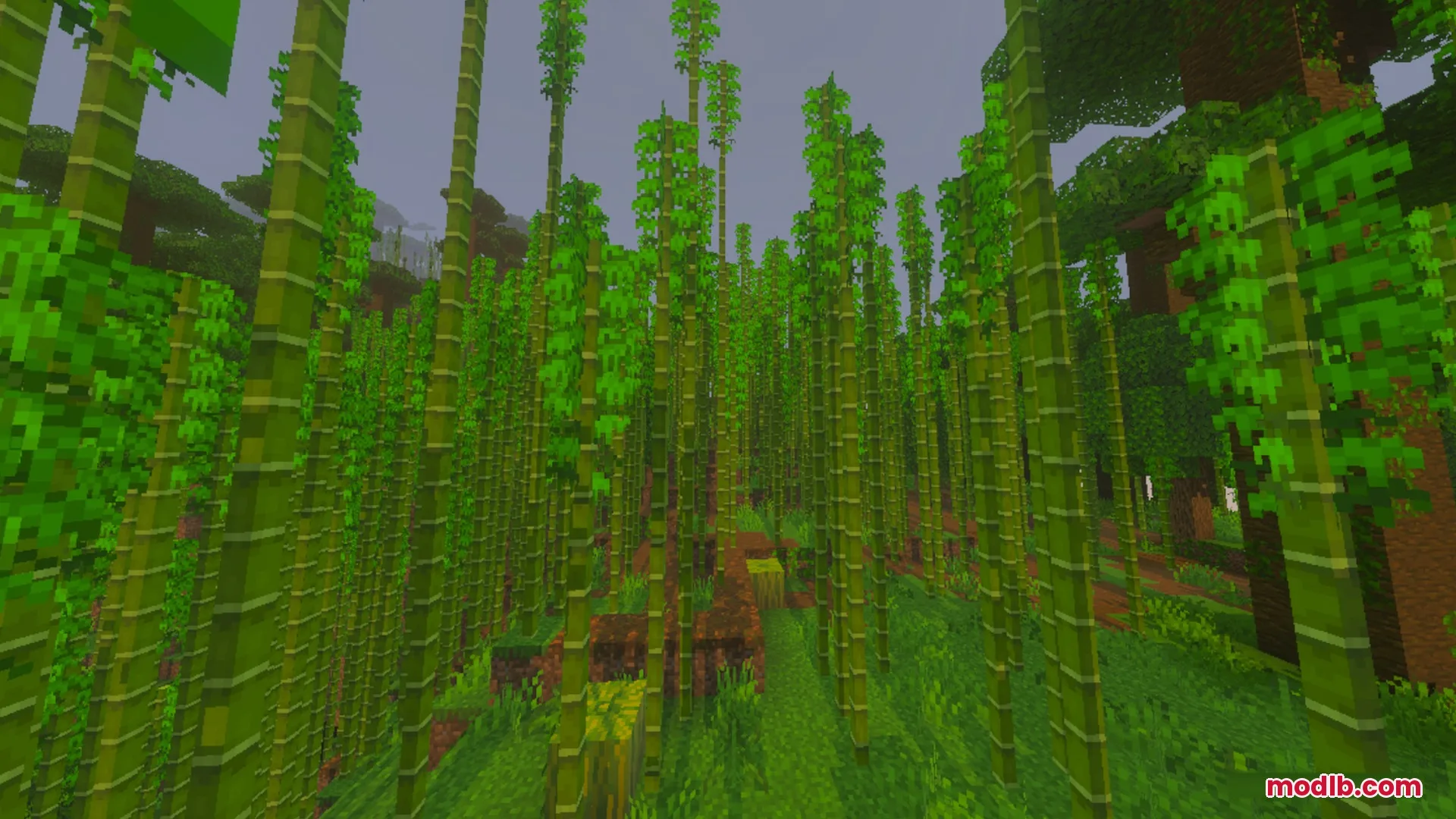 Better Waving Leaves Shader Screenshot 8 Tall green bamboo stalks grow densely in a lush jungle forest biome