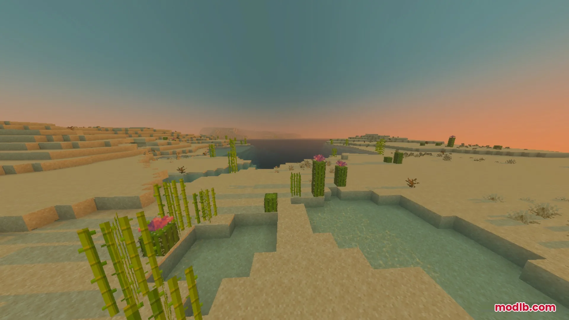 Better Waving Leaves Shader Screenshot 7 Sugar cane and flowering cacti grow near water in a desert at sunset