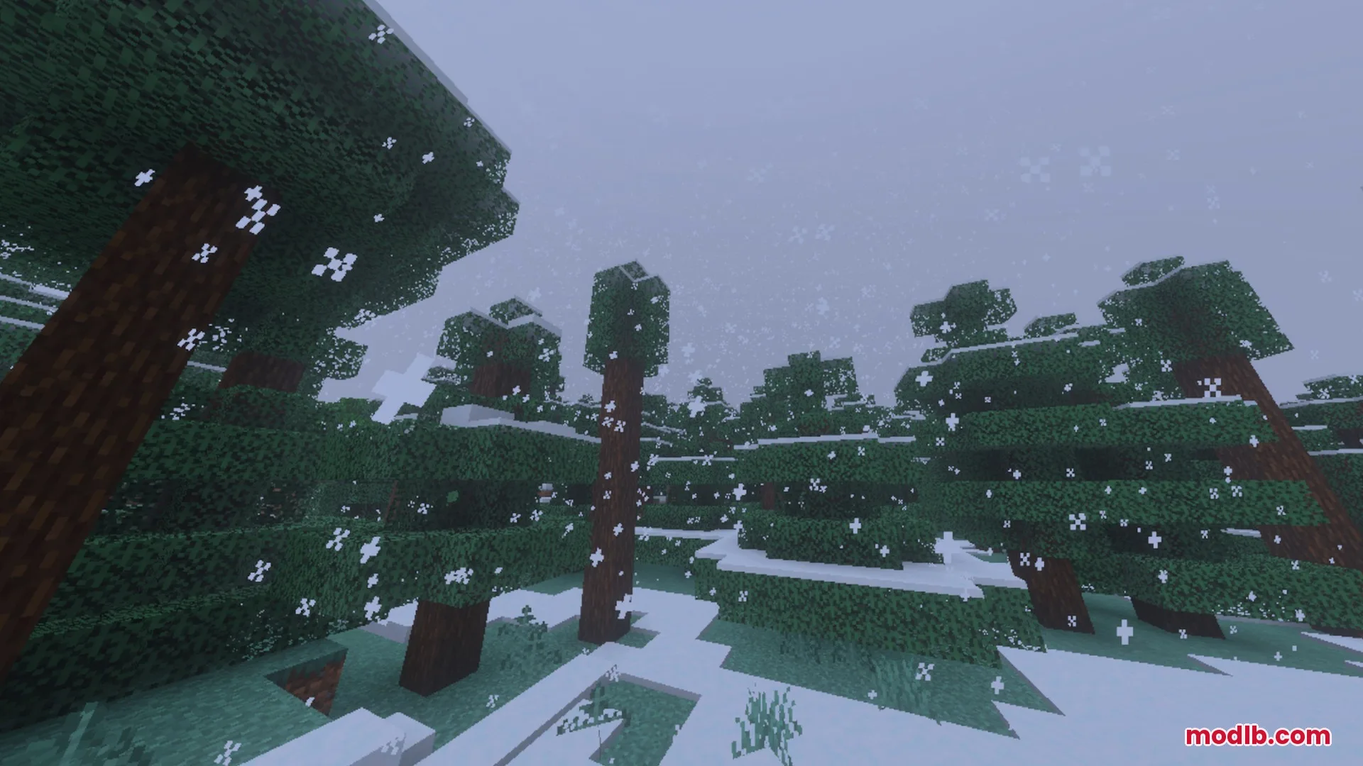 Better Waving Leaves Shader Screenshot 10 Snow falling over spruce trees in a cold winter Minecraft forest biome
