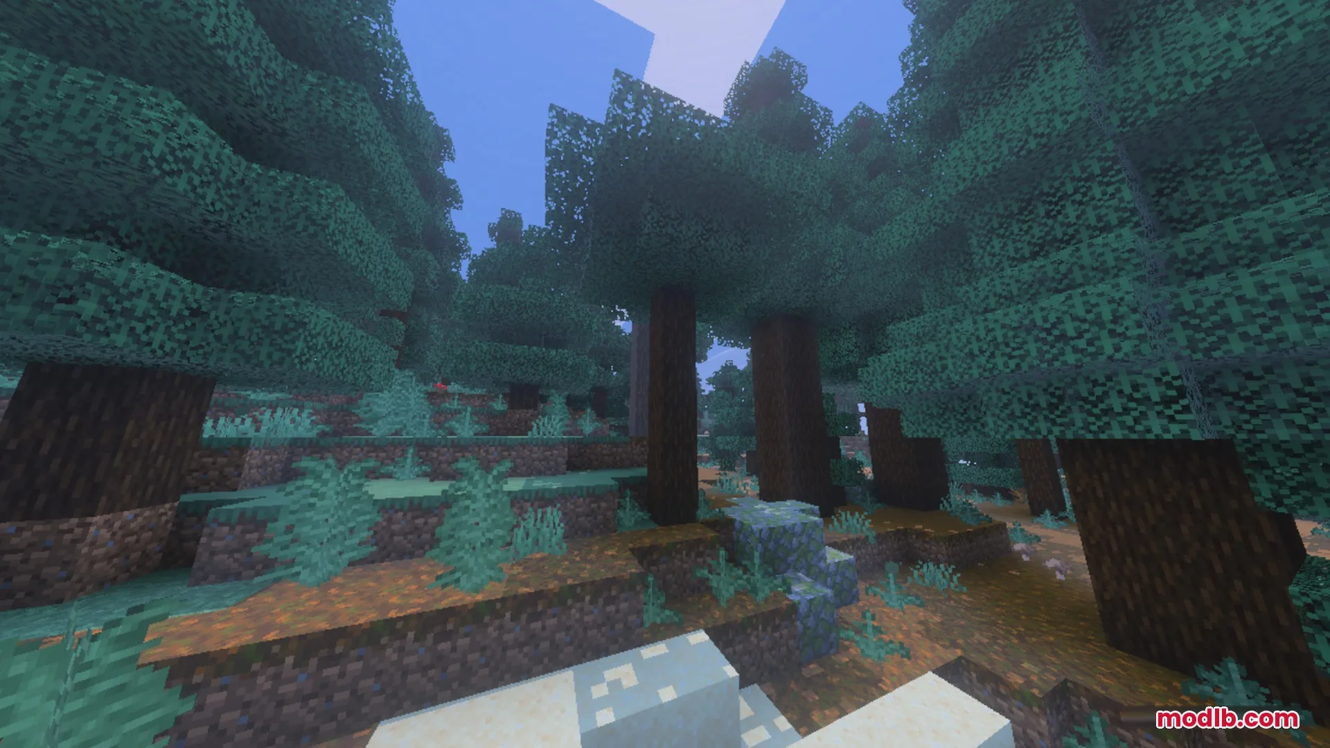 Better Waving Leaves Shader Screenshot 6 Dense spruce forest with dark green leaves swaying gently in the wind