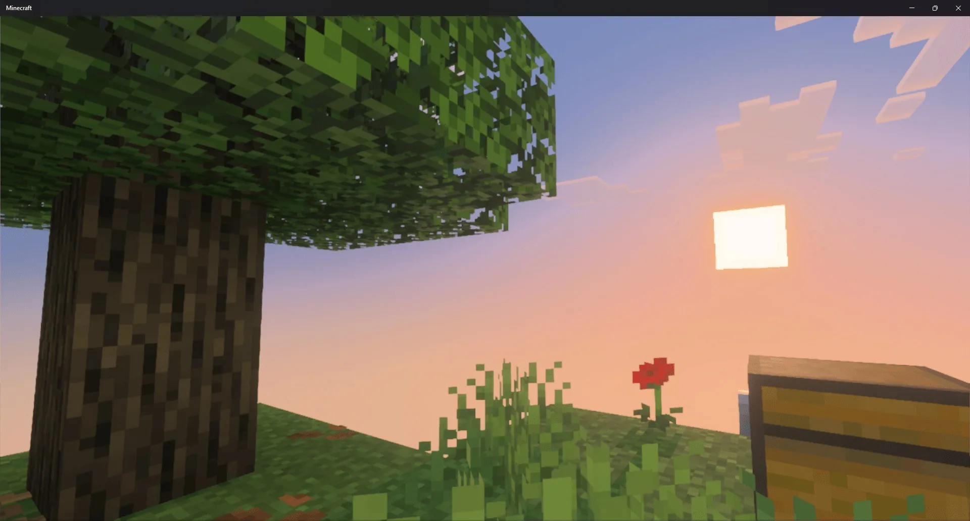 View of a tree and chest on a floating island during a sunset
