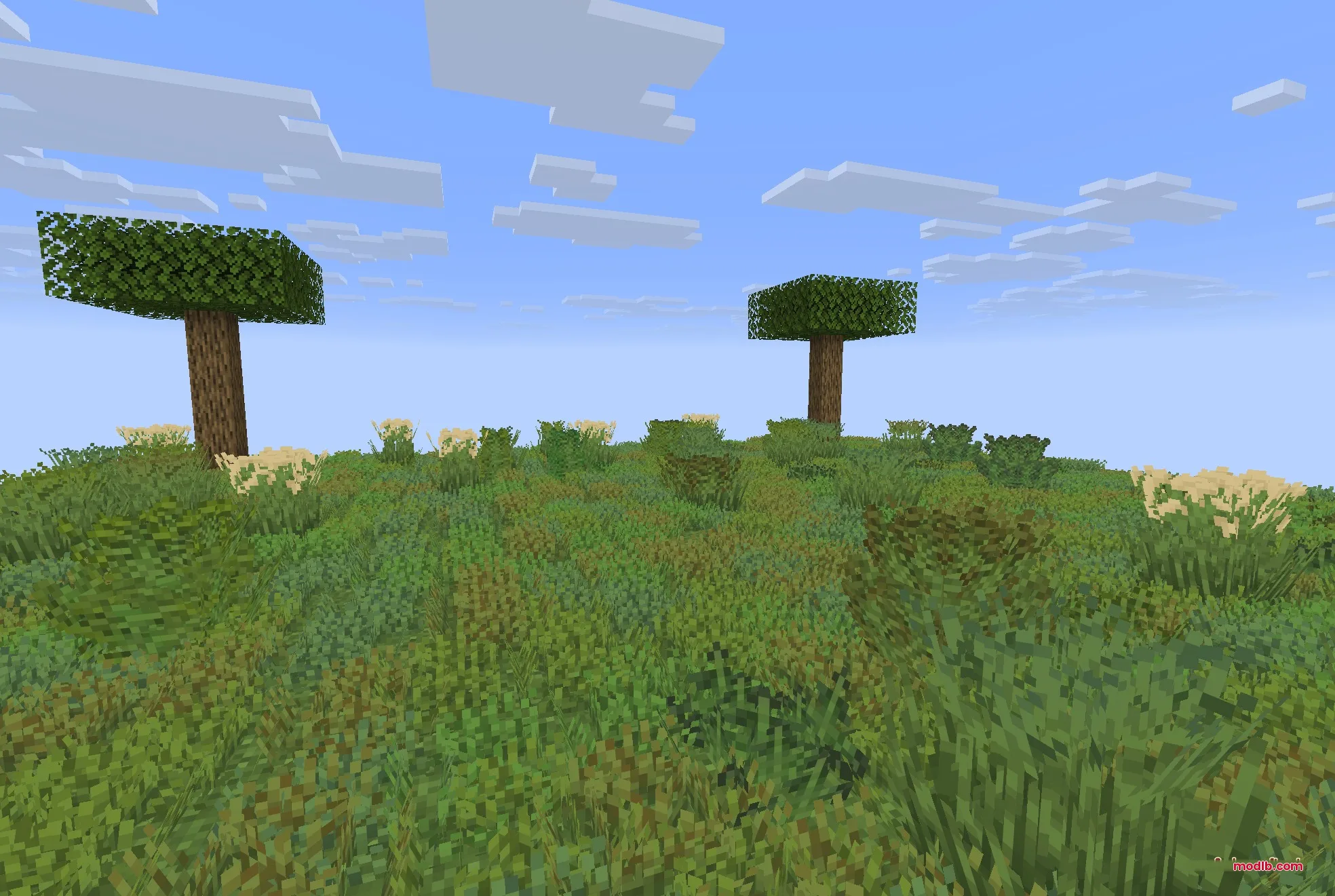 Colorful Grasses 9minecraft Resource Pack Screenshot 1 A Minecraft landscape with dense green grass and two trees under a blue sky