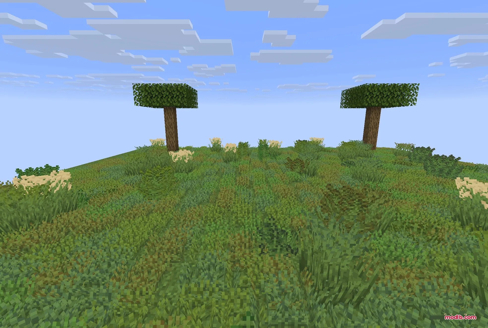 Colorful Grasses 9minecraft Resource Pack Screenshot 5 A vibrant field of grass with multiple model variants and two trees