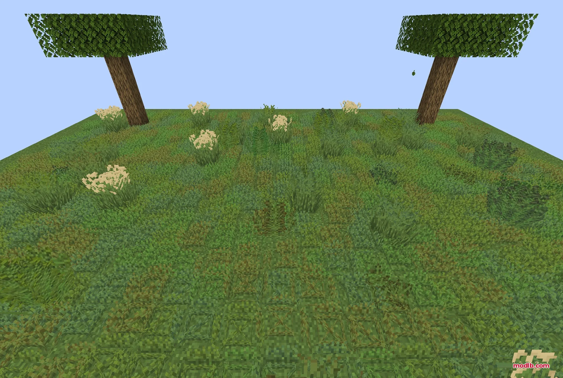 Colorful Grasses 9minecraft Resource Pack Screenshot 4 Two trees overlook a field featuring diverse grass models and small plants