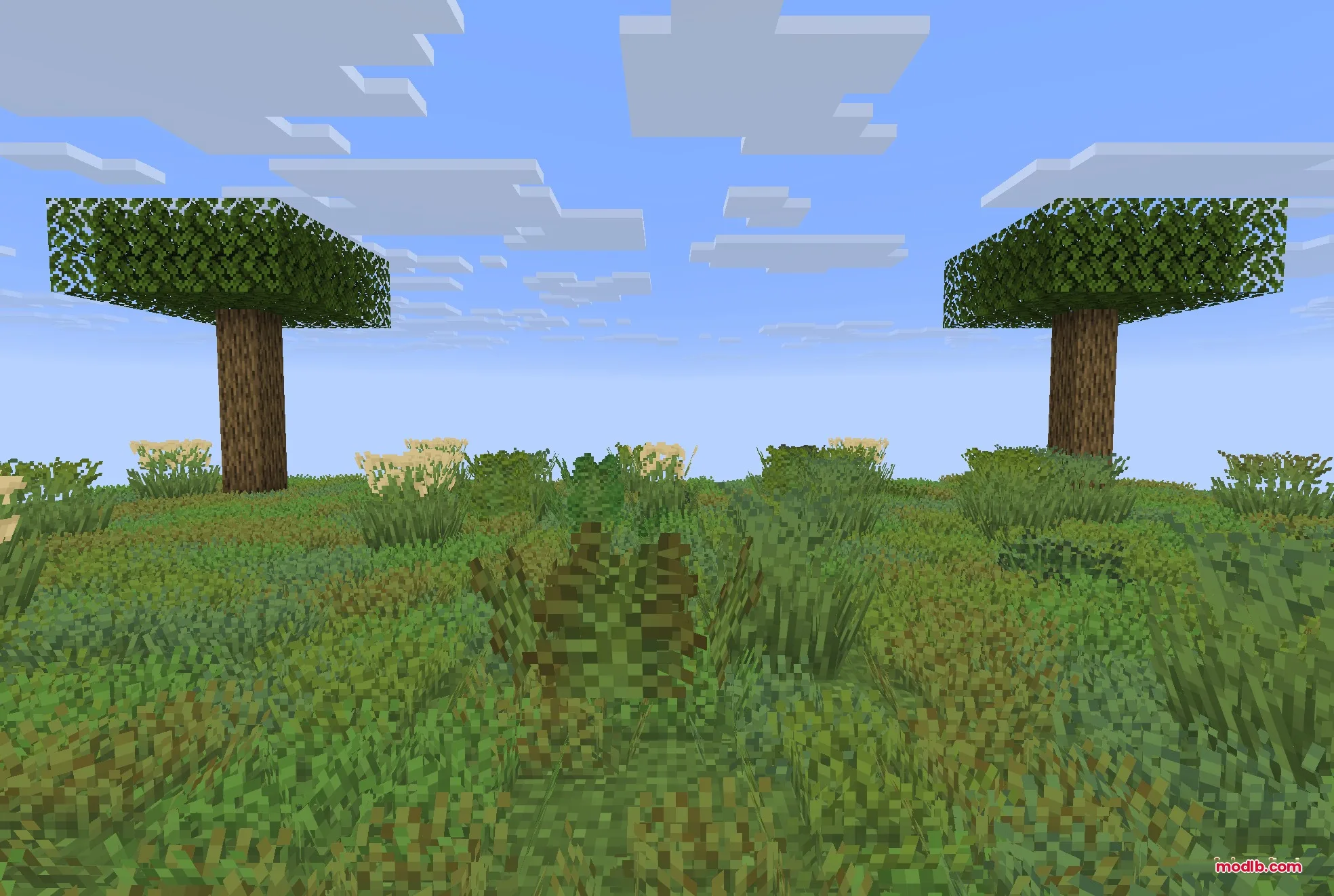 Colorful Grasses 9minecraft Resource Pack Screenshot 2 Detailed view of varied grass models and textures in a Minecraft world