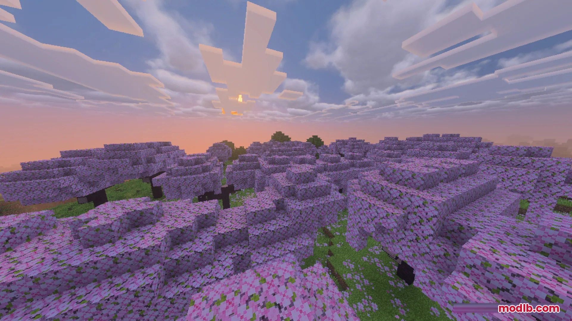 Complementary Unbound Clouds Shader Screenshot 1 Cherry blossom forest under a sunset sky with Complementary Unbound Clouds