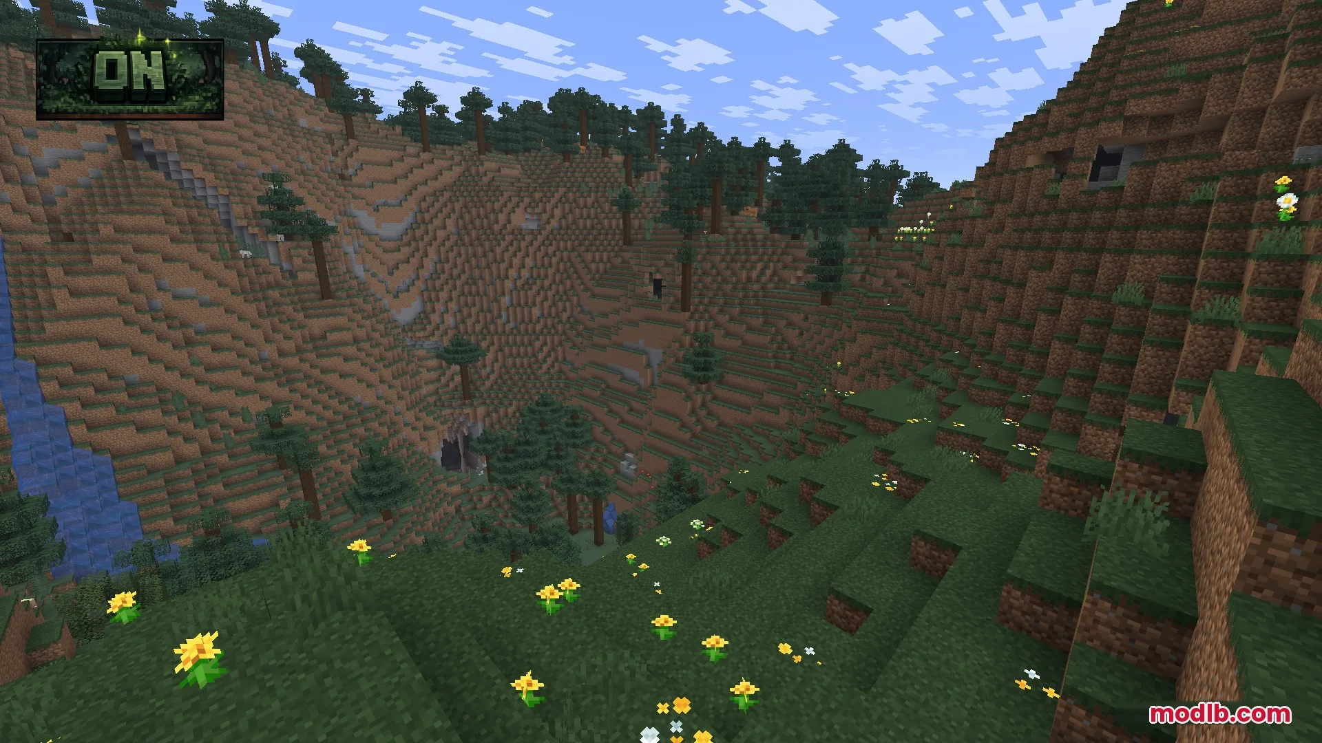 Dark green grass covers the hills and valleys of a spruce forest landscape