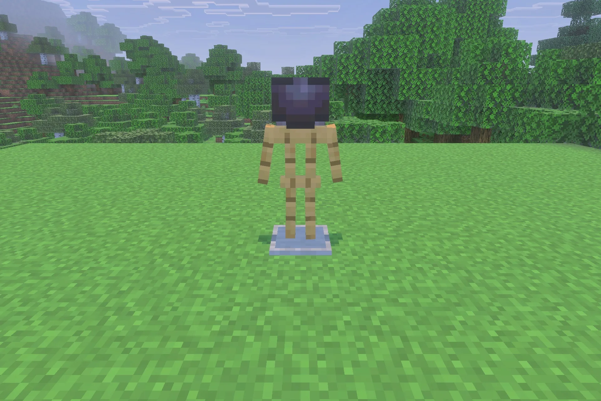 A Minecraft armor stand wearing a dark helmet on a grassy field