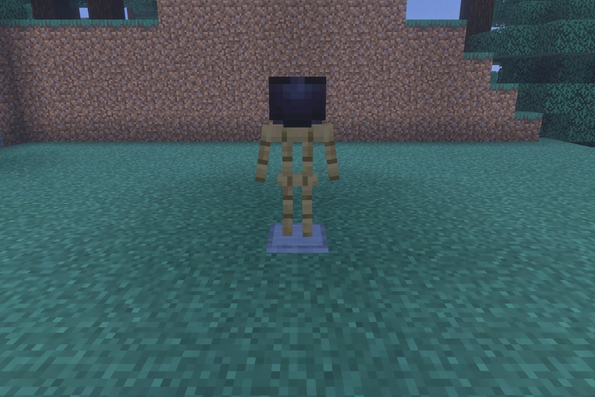 A wooden armor stand wearing a dark helmet in front of dirt blocks
