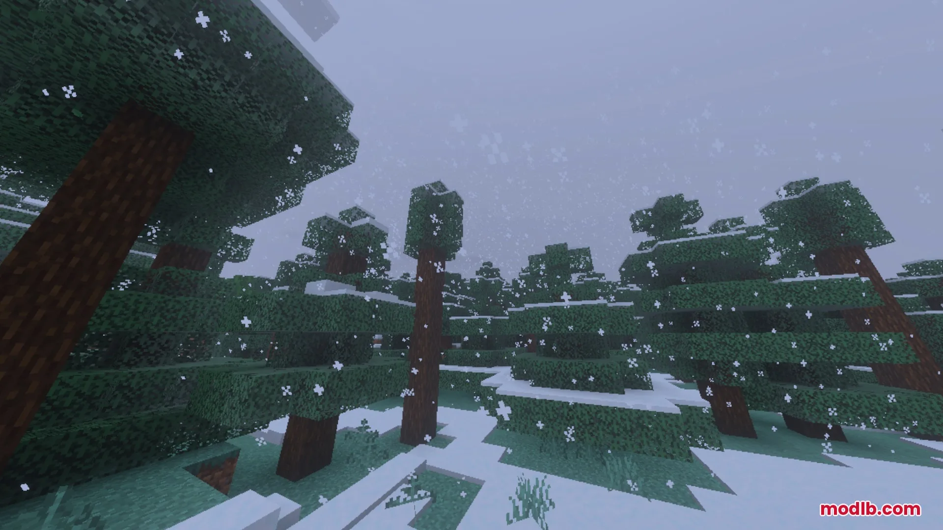 Snowflakes falling over a dense spruce forest in a cold Minecraft biome