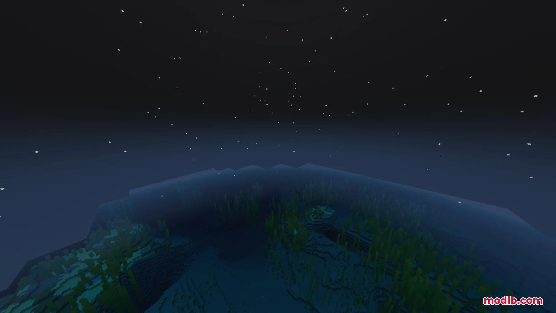 Dark ocean water with kelp under a starry night sky in Minecraft
