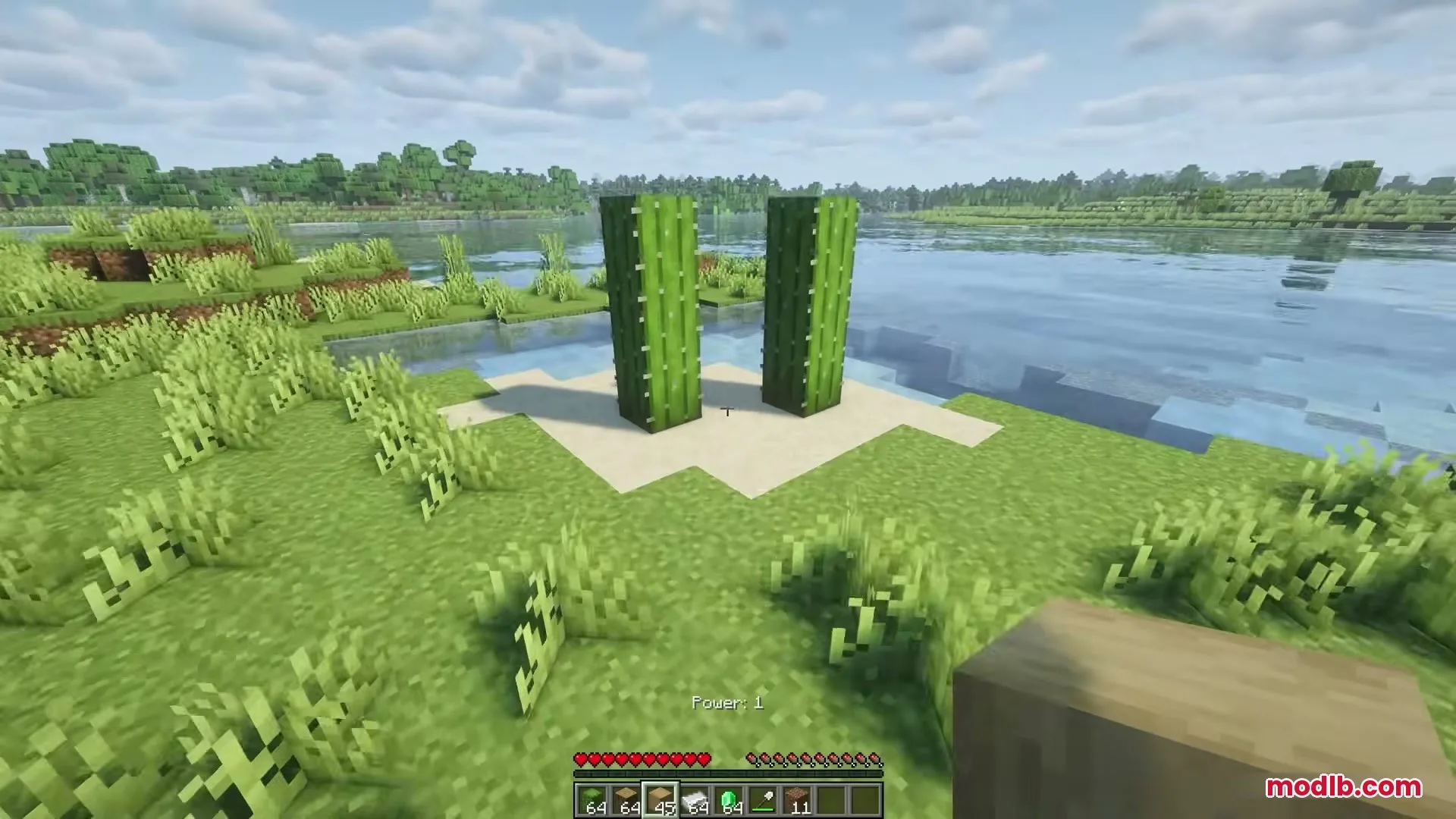 Eating Animations Mod Screenshot 5 A player stands near two tall cacti on a sand patch by water
