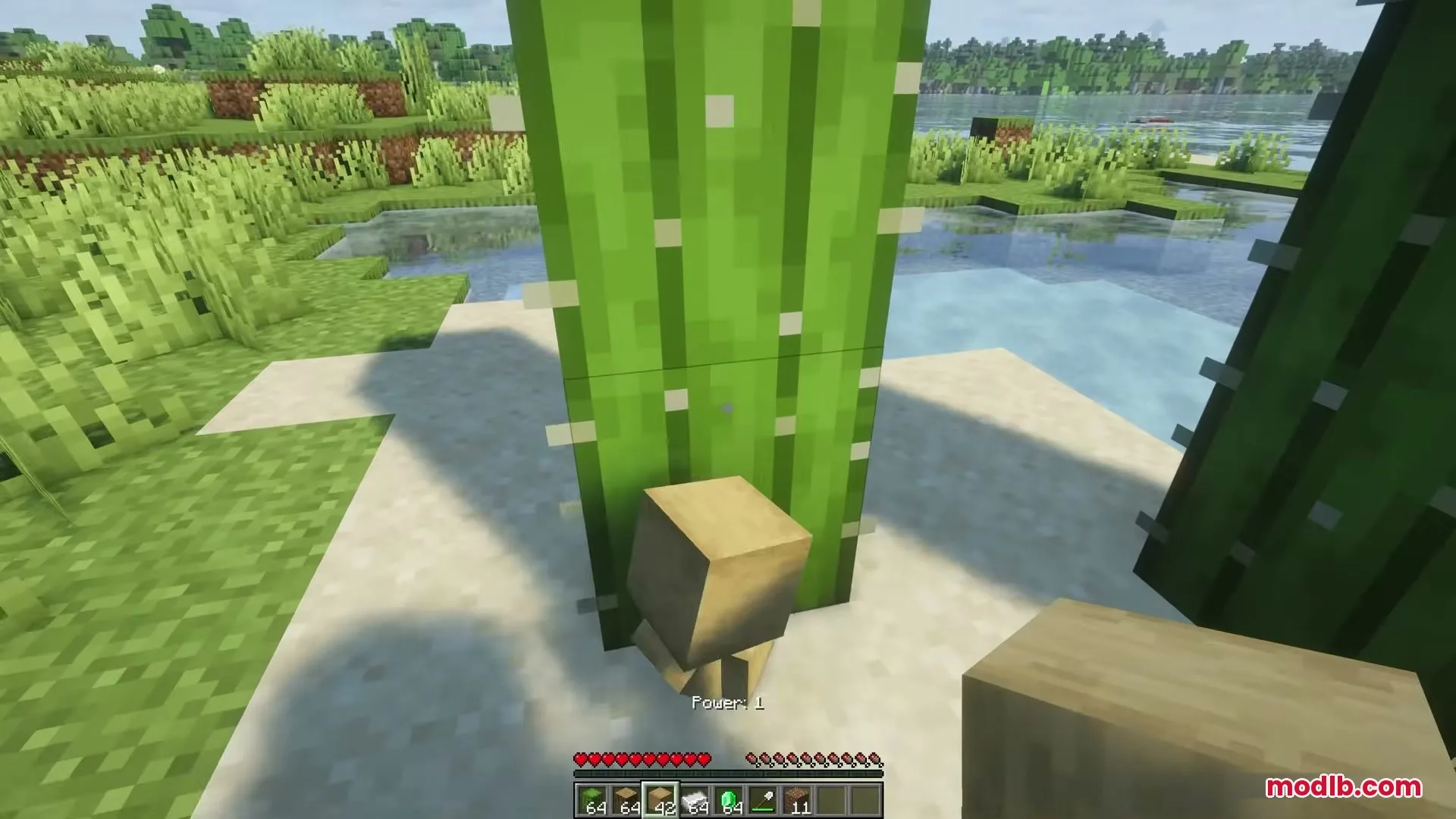 Eating Animations Mod Screenshot 6 Player eats food showing a visual bite mark from Eating Animations Mod