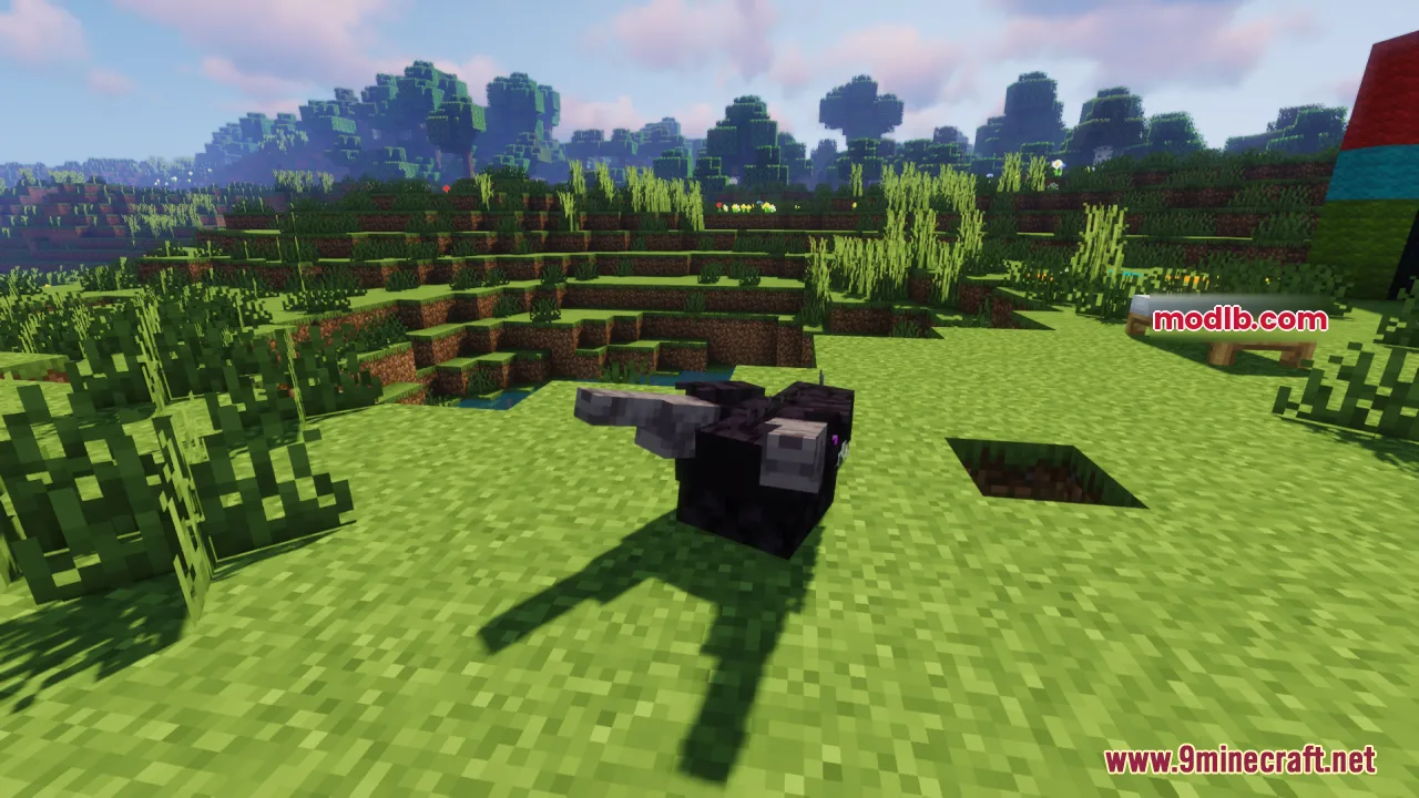 A small black wyvern creature standing on the grass in a Minecraft world