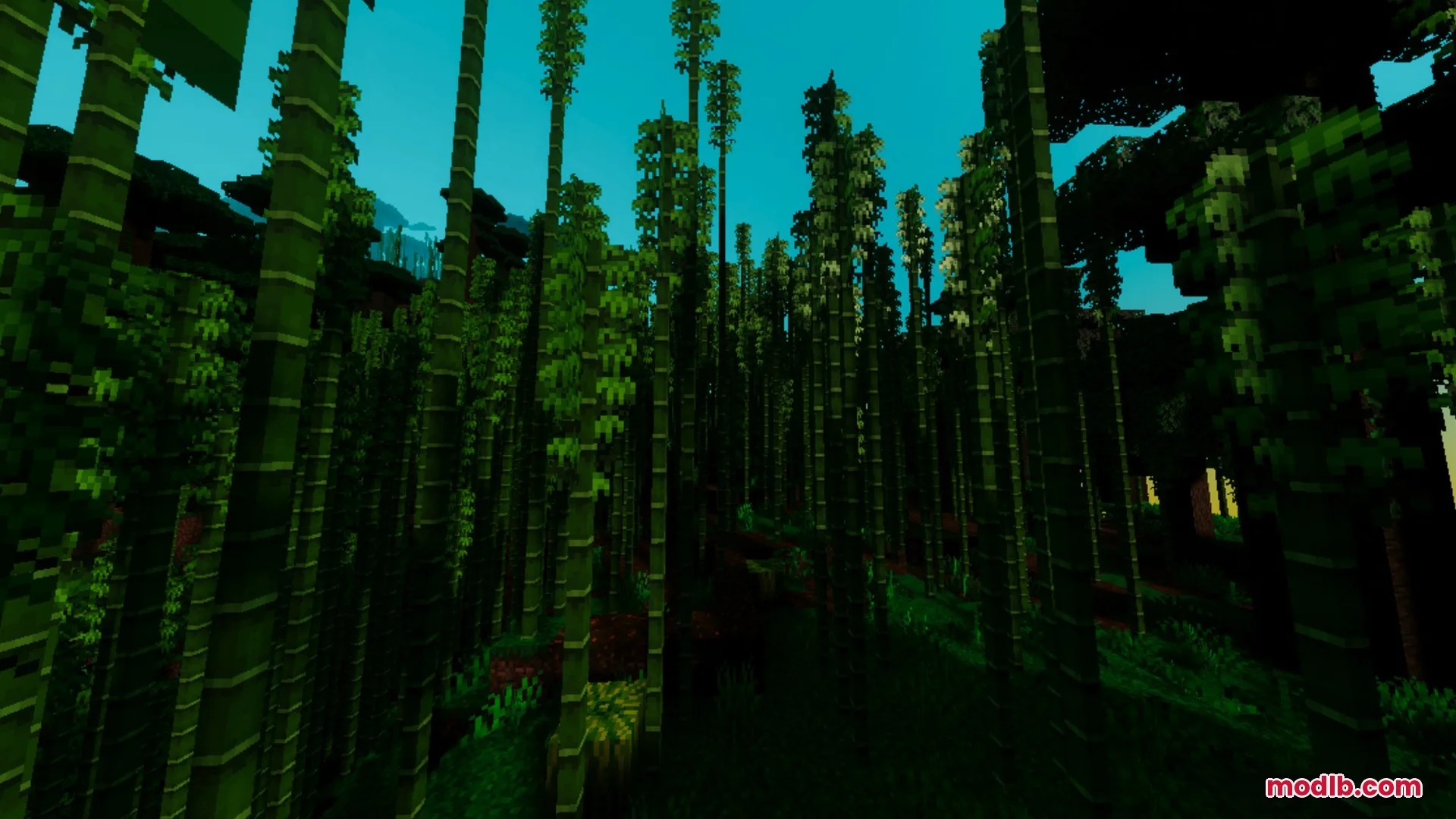 Fantasia Shader Screenshot 10 Dense bamboo stalks reach toward a bright blue sky in a forest