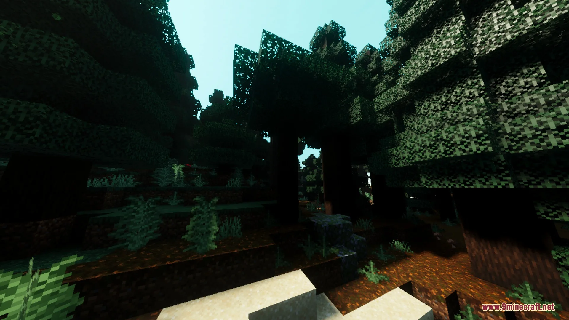 Fantasia Shader Screenshot 8 Sunlight filtering through tall trees in a dense forest with soft shadows