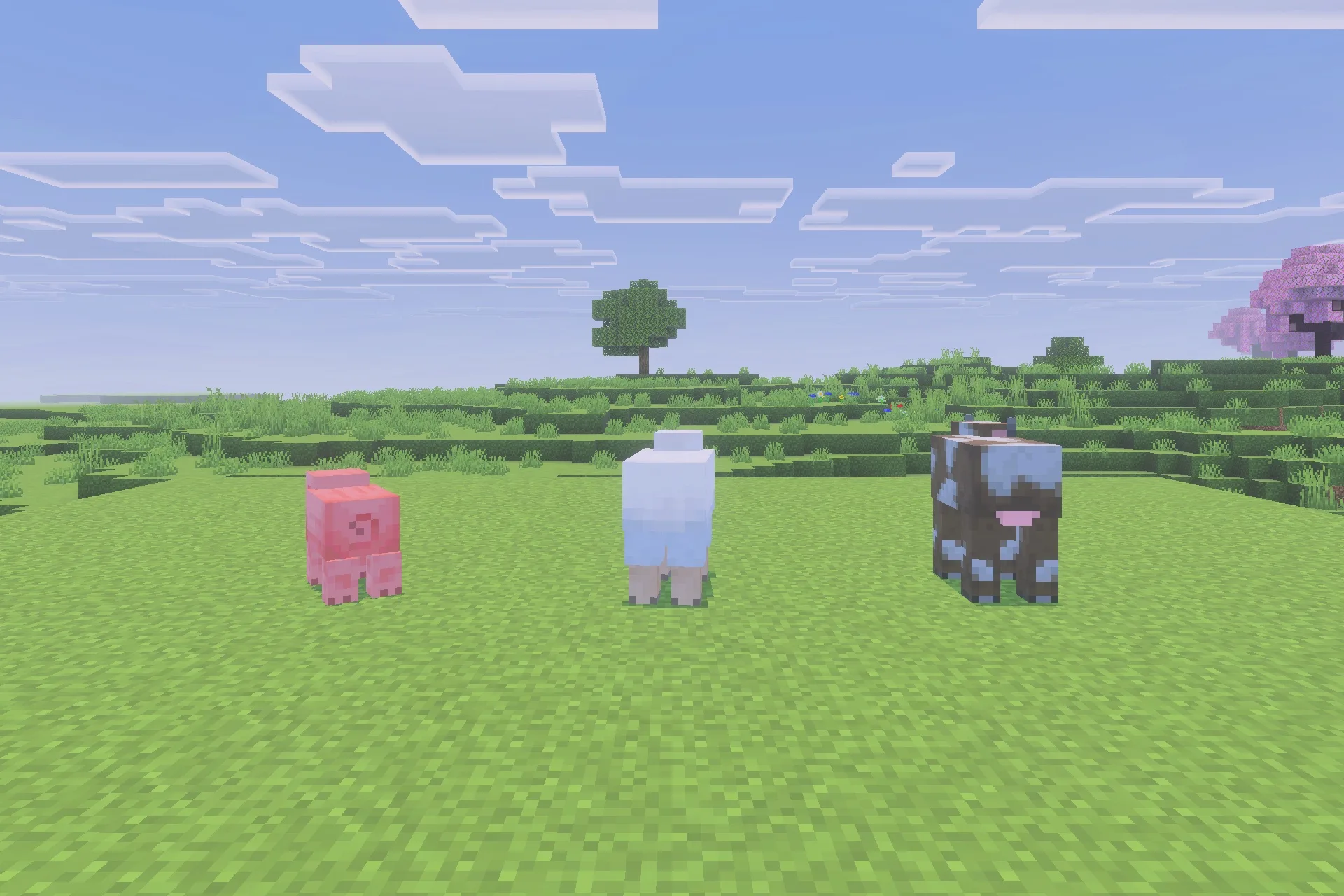 Minecraft animals standing on a flat field with full sided grass textures