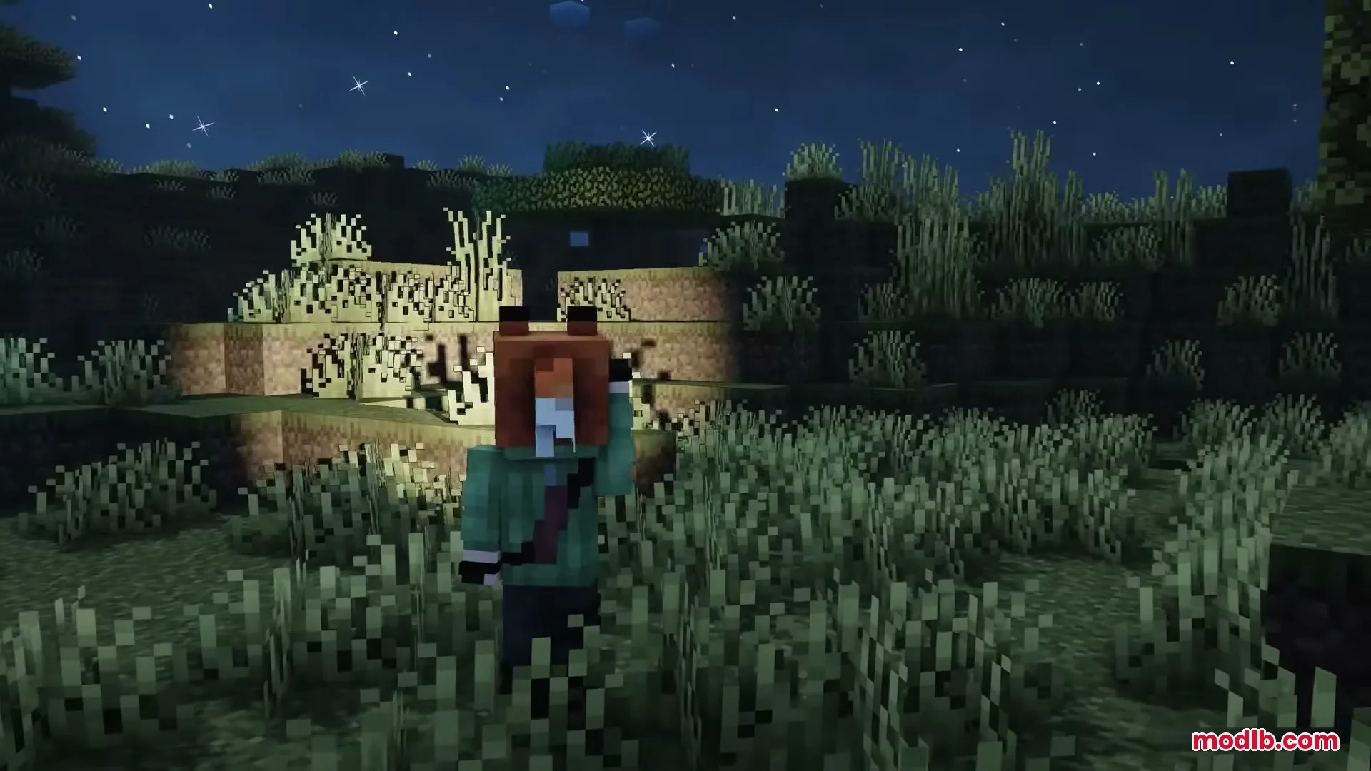 Flashier Flashlights Mod Screenshot 6 Player holding a flashlight to illuminate the dark landscape at night