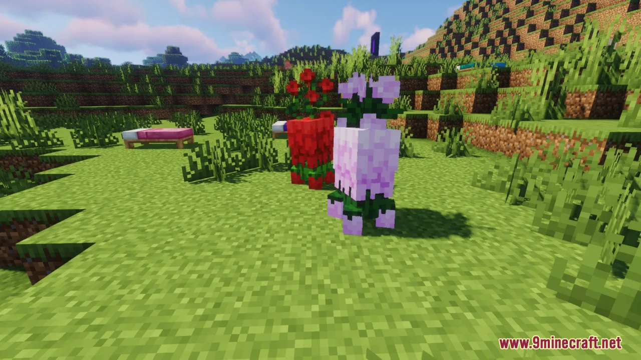 Red and purple flower creepers standing together in a grassy field