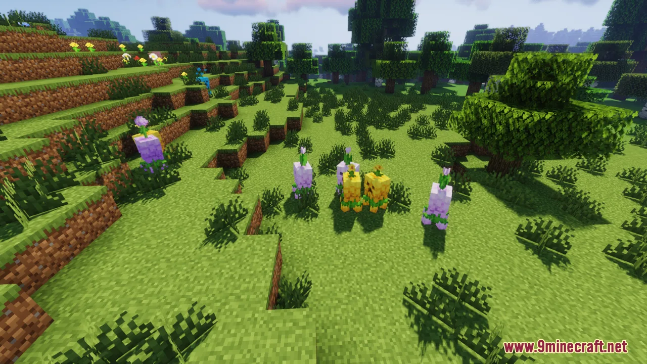 Small purple and yellow floral creepers standing together in a grassy field