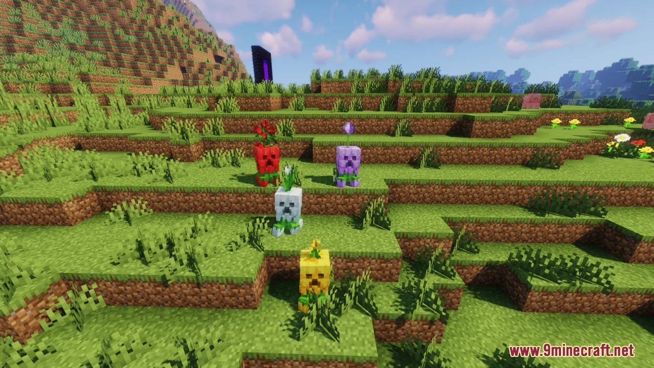 Several small colorful flower creepers standing on a grassy hill in daylight