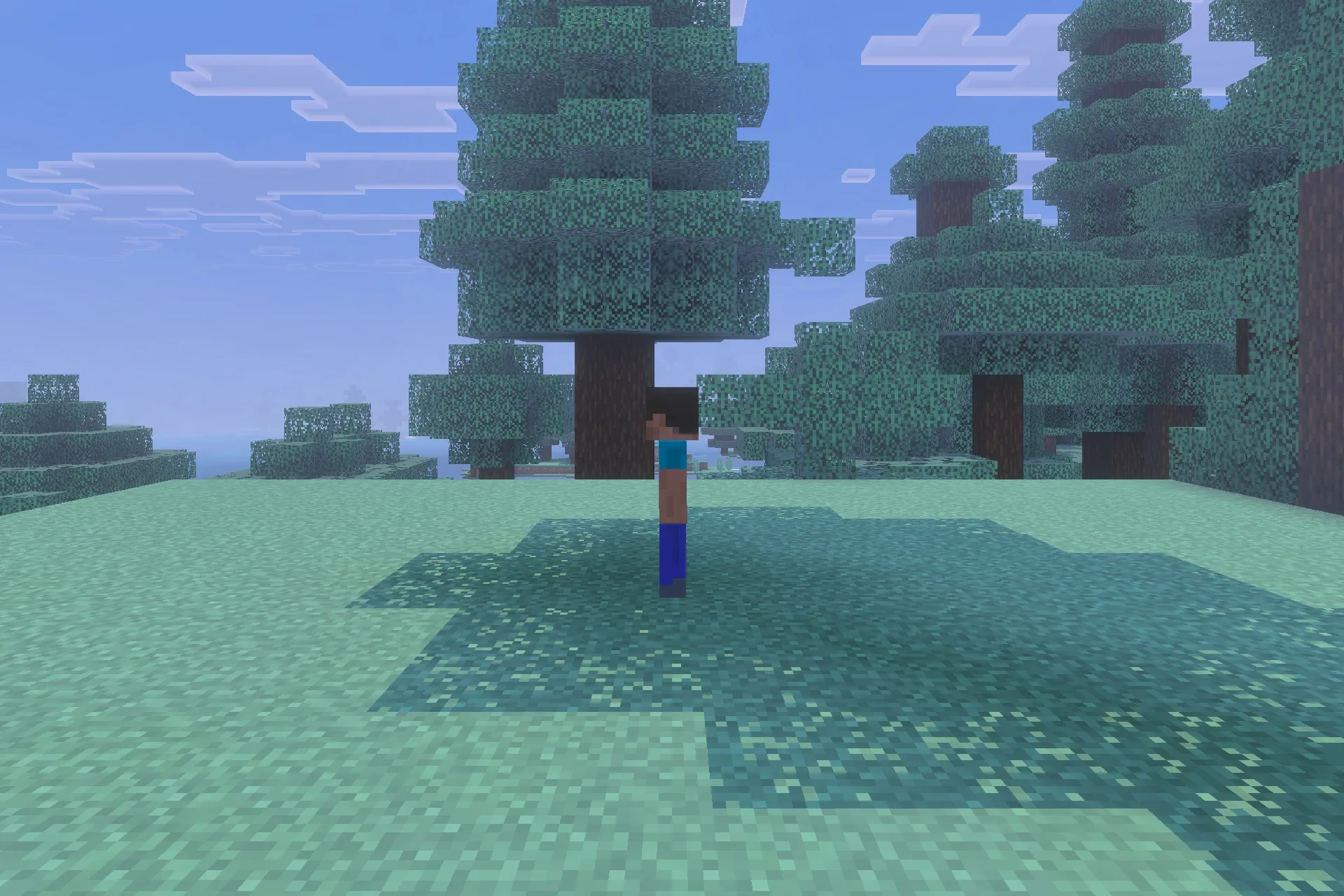 Herobrine Lurking Addon Screenshot 1 Herobrine stalks a player from behind a large spruce tree in the forest