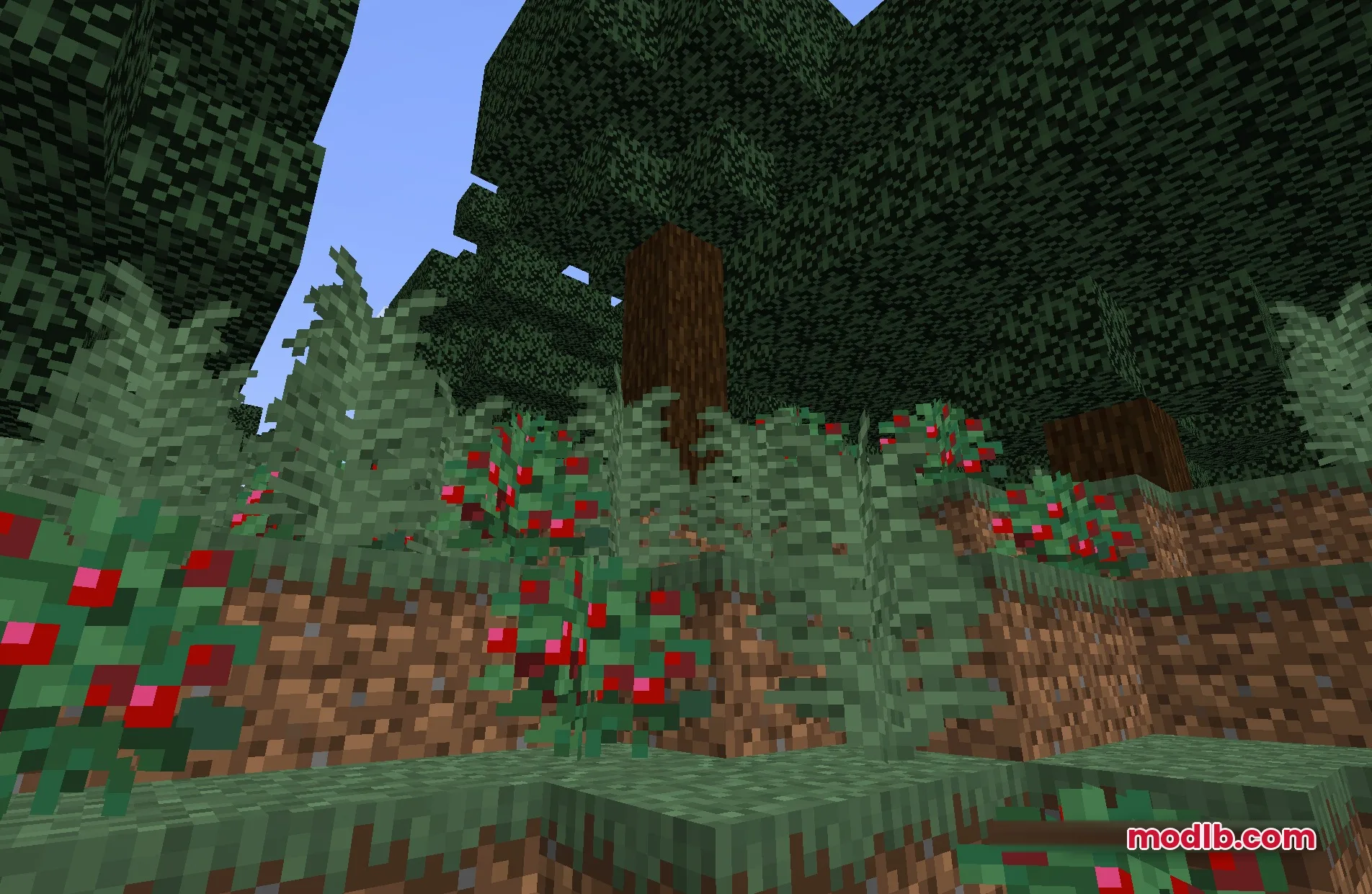 Image Shaders Screenshot 5
