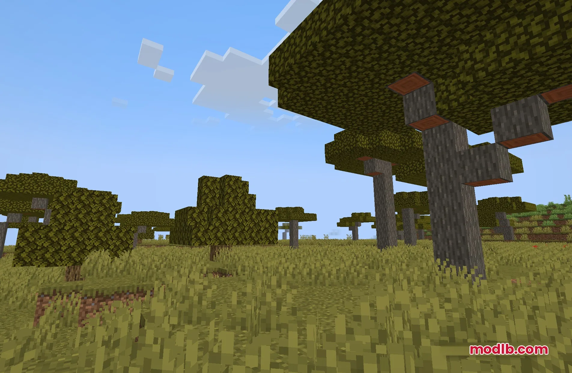 Image Shaders Screenshot 10