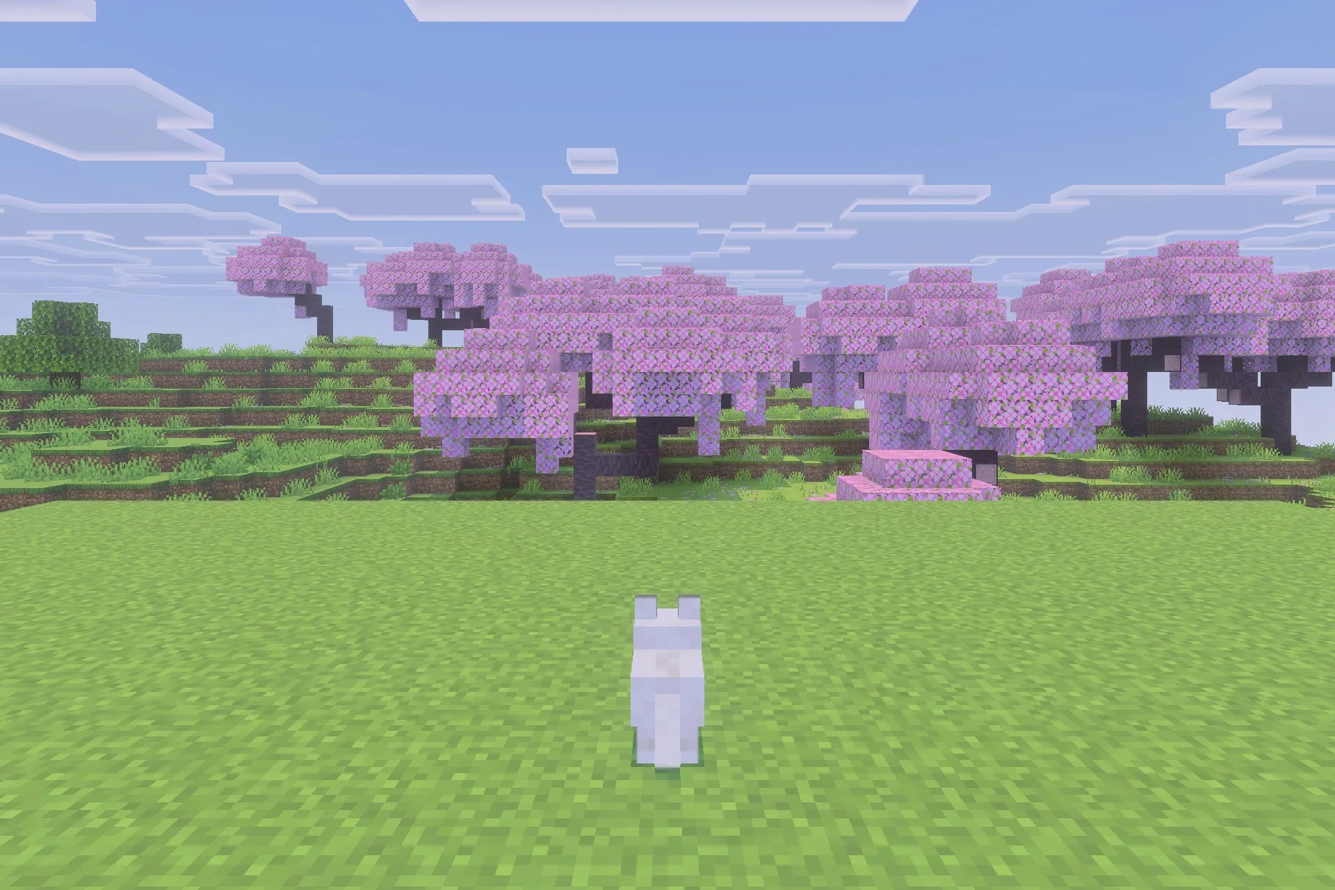Immortal Dogs Addon Screenshot 5 A white wolf sits peacefully in a field with cherry blossom trees