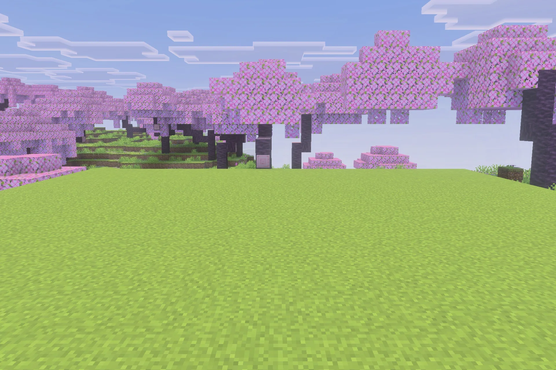 Immortal Dogs Addon Screenshot 1 A peaceful cherry blossom biome with pink trees and a wide green field