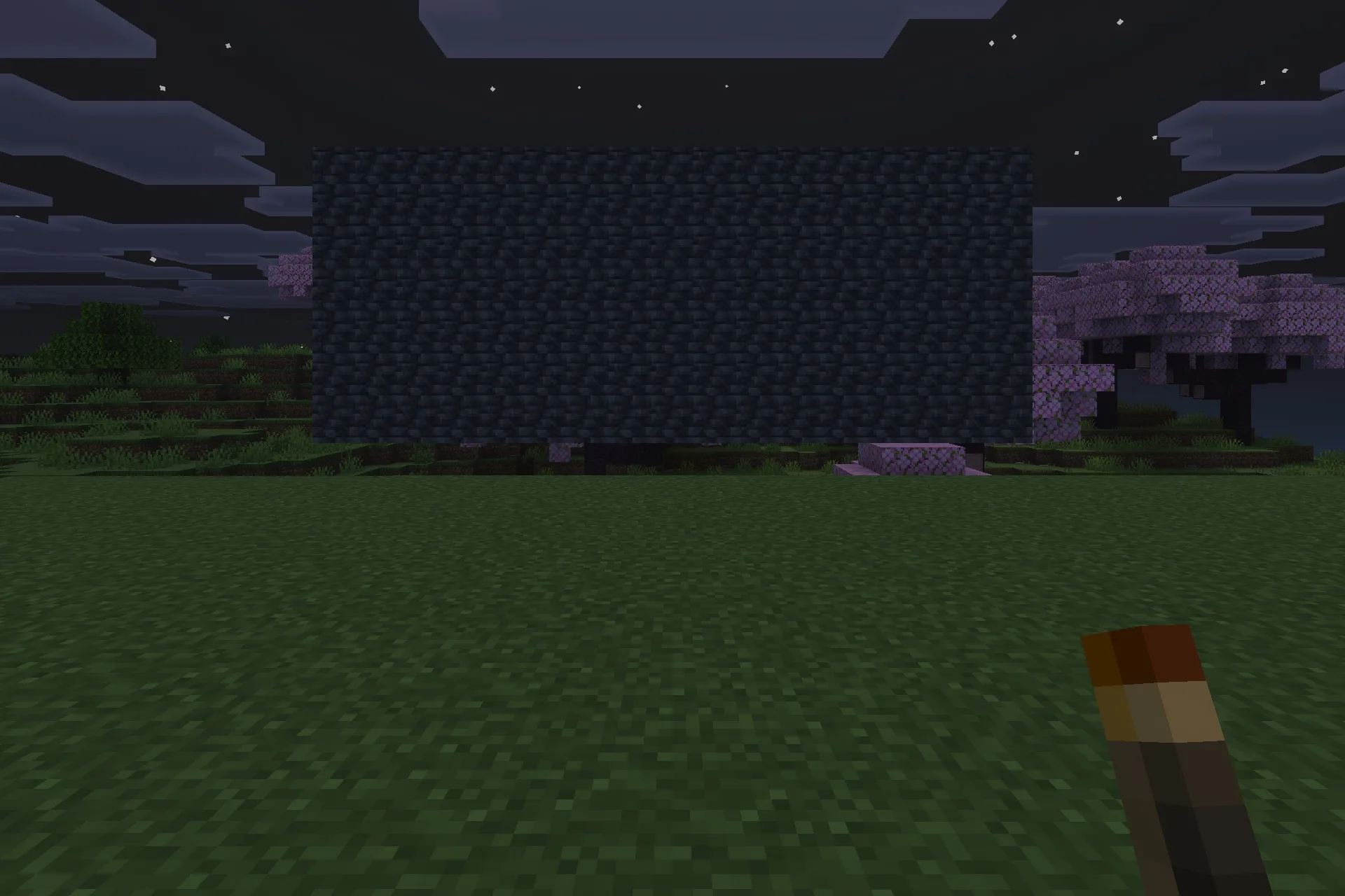 Lilium Dynamic Light Addon Screenshot 3 Player holding a torch at night in front of a massive dark wall