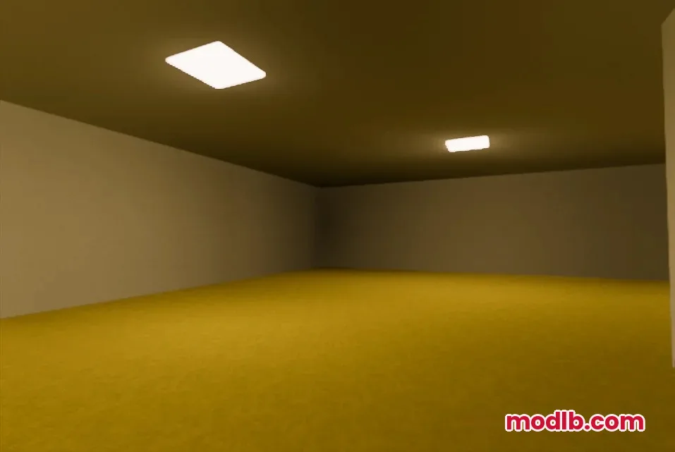 Large empty room with yellow wallpaper and damp carpet featuring fluorescent ceiling lights