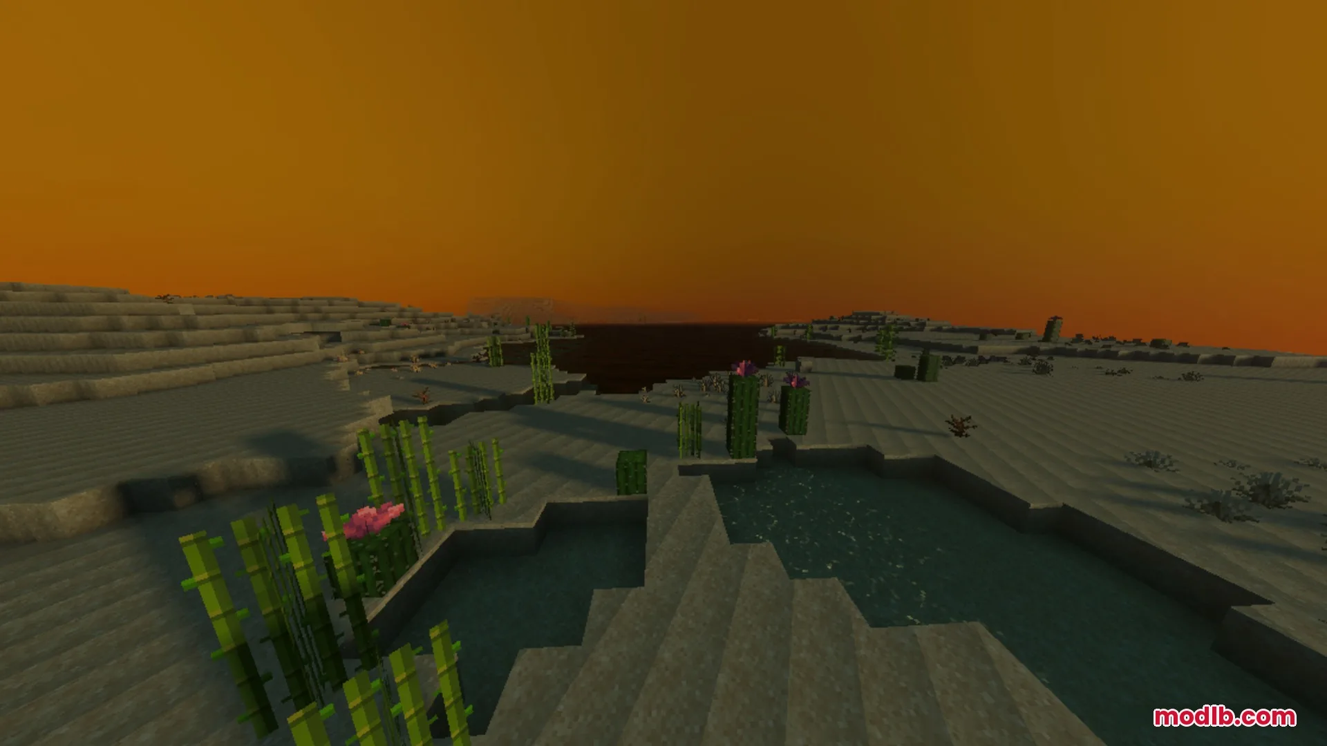 A desert biome featuring a small pond and cacti under a glowing orange sunset