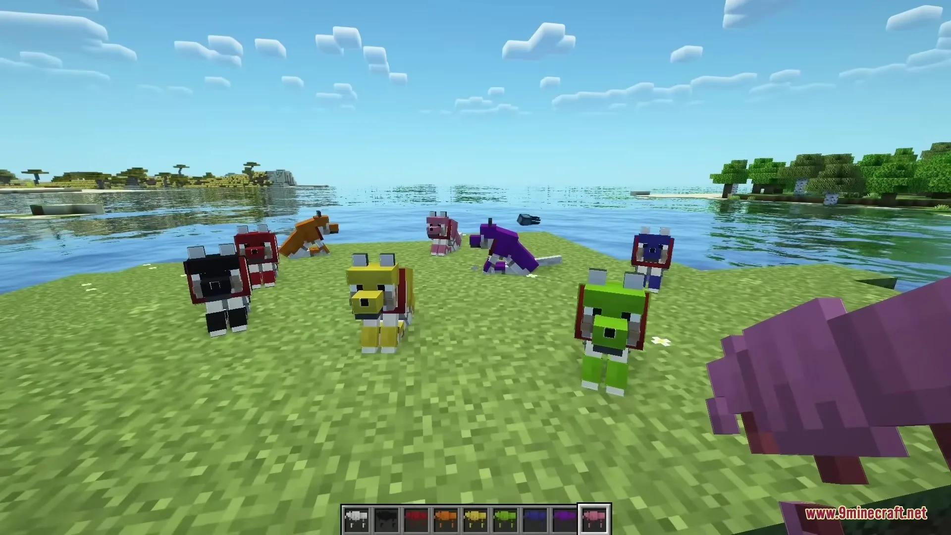 Magical Debug Stick Resource Pack Screenshot 1 A pack of colorful wolves gathered on a grassy field by the water