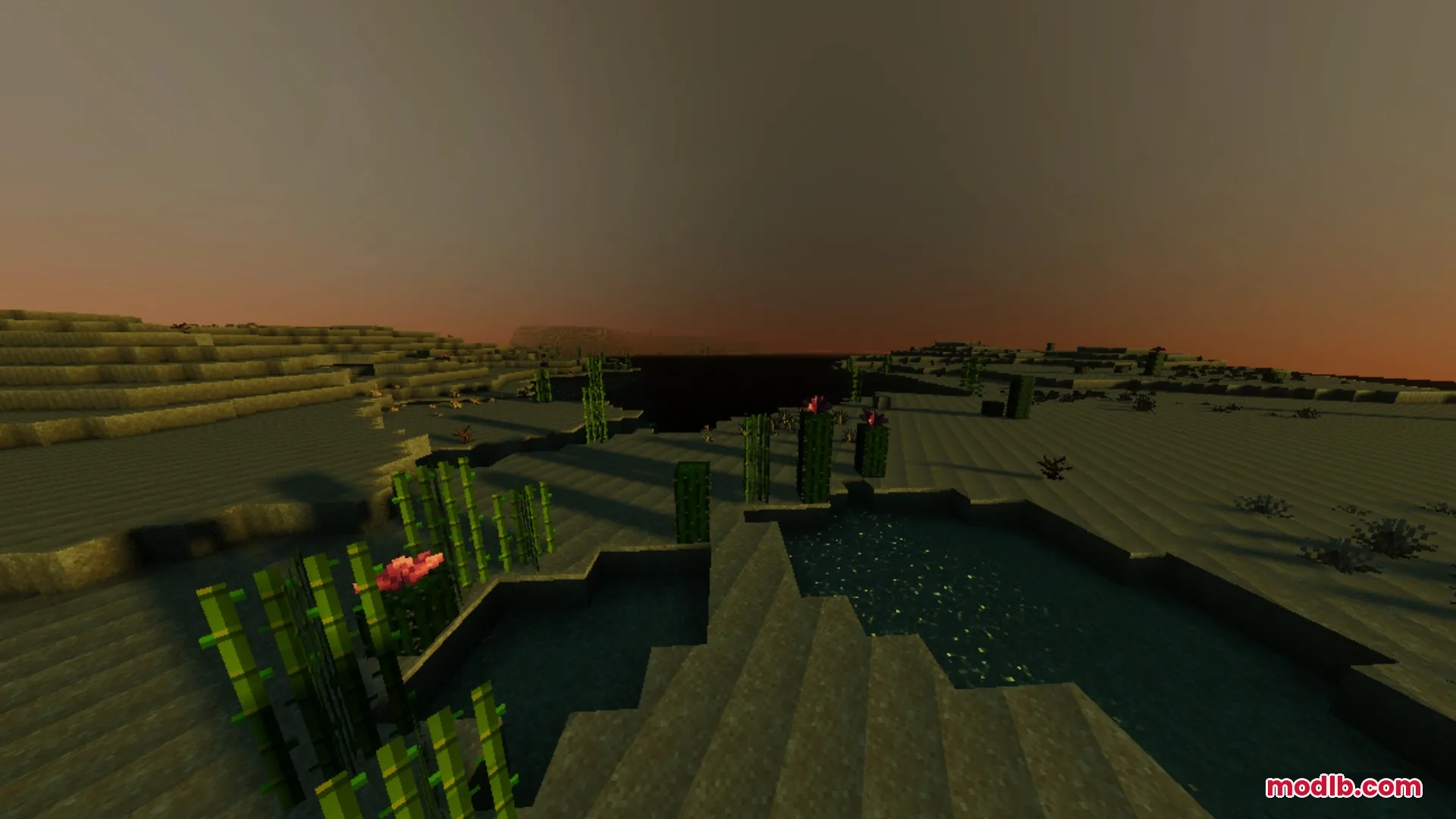 Sugar cane and cacti grow in a desert under a hazy sunset sky