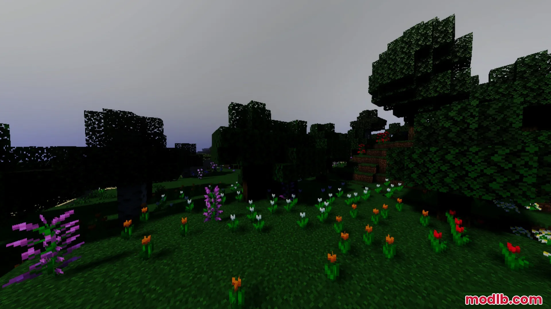 Vibrant flowers grow in a dark forest biome under a thick grey fog