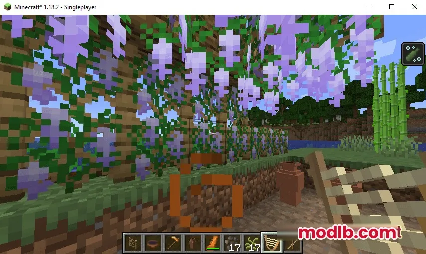 Beautiful purple wisteria flowers hanging from a wooden trellis in a garden