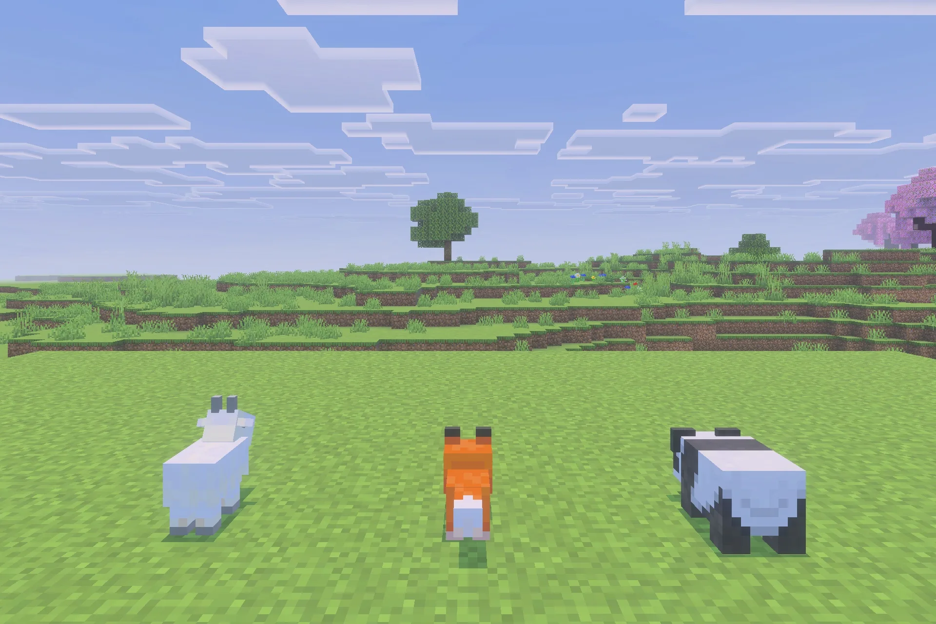 Three small Minecraft animals including a goat a fox and a panda